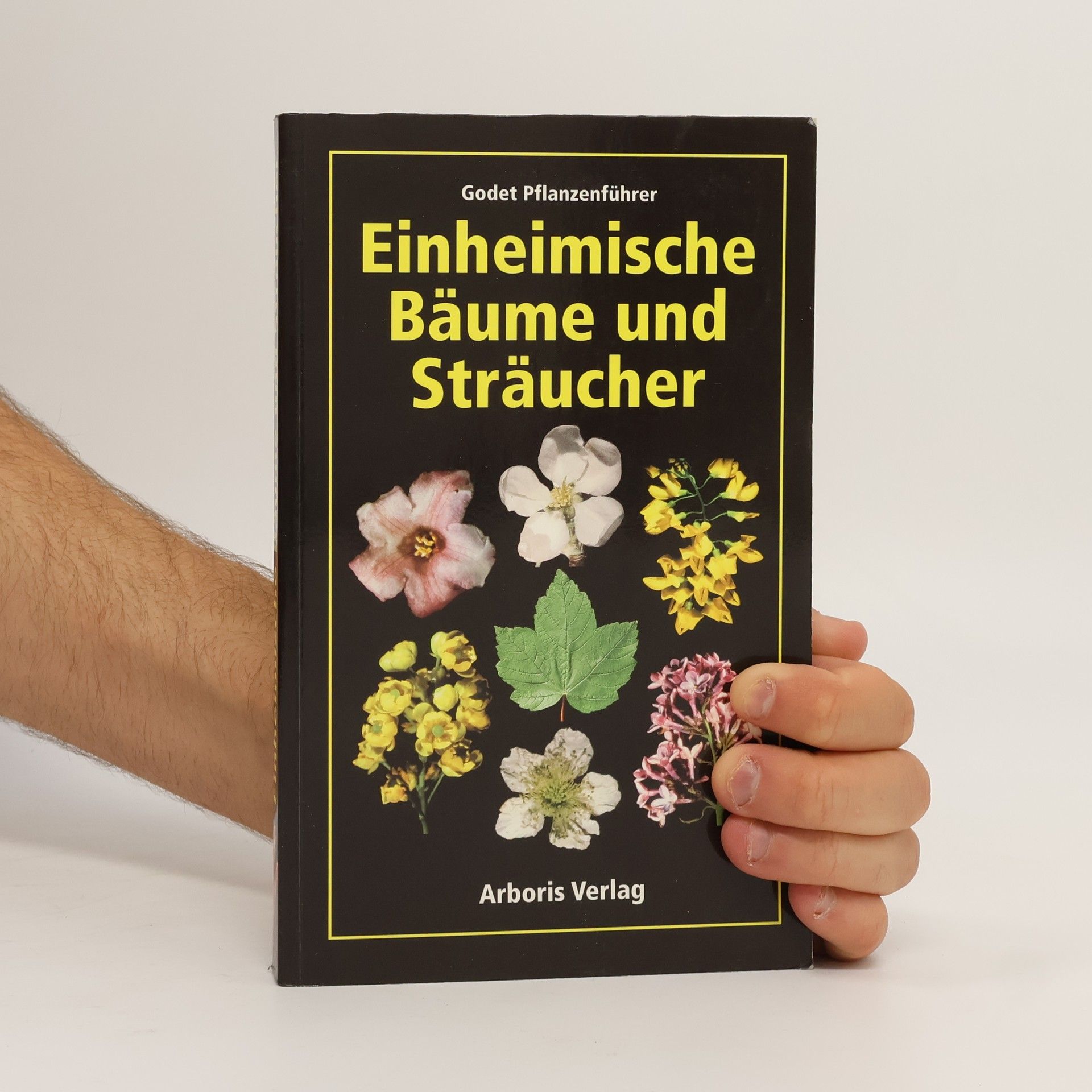 Jean-Denis Godet Einheimische Bäume und Sträucher