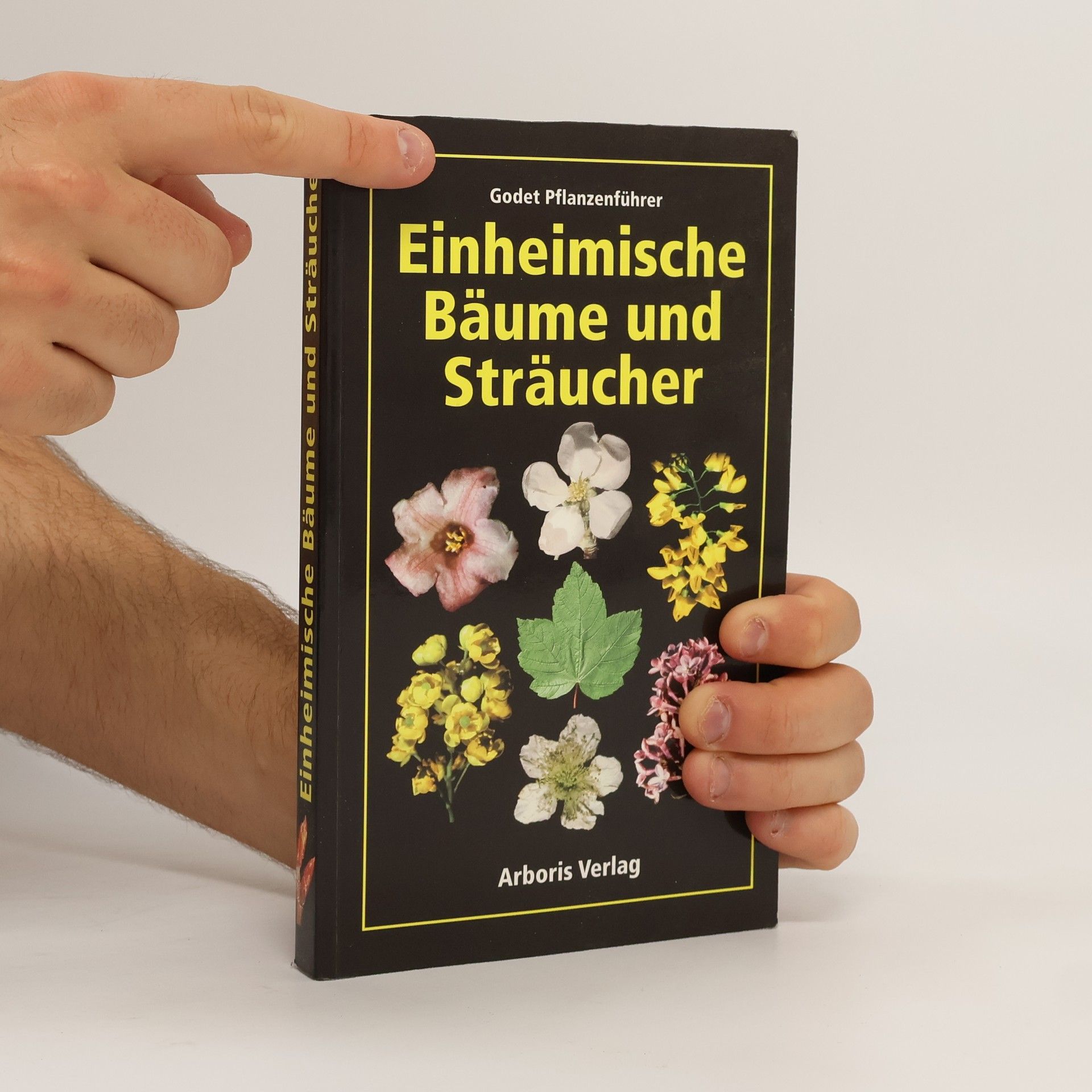 Jean-Denis Godet Einheimische Bäume und Sträucher