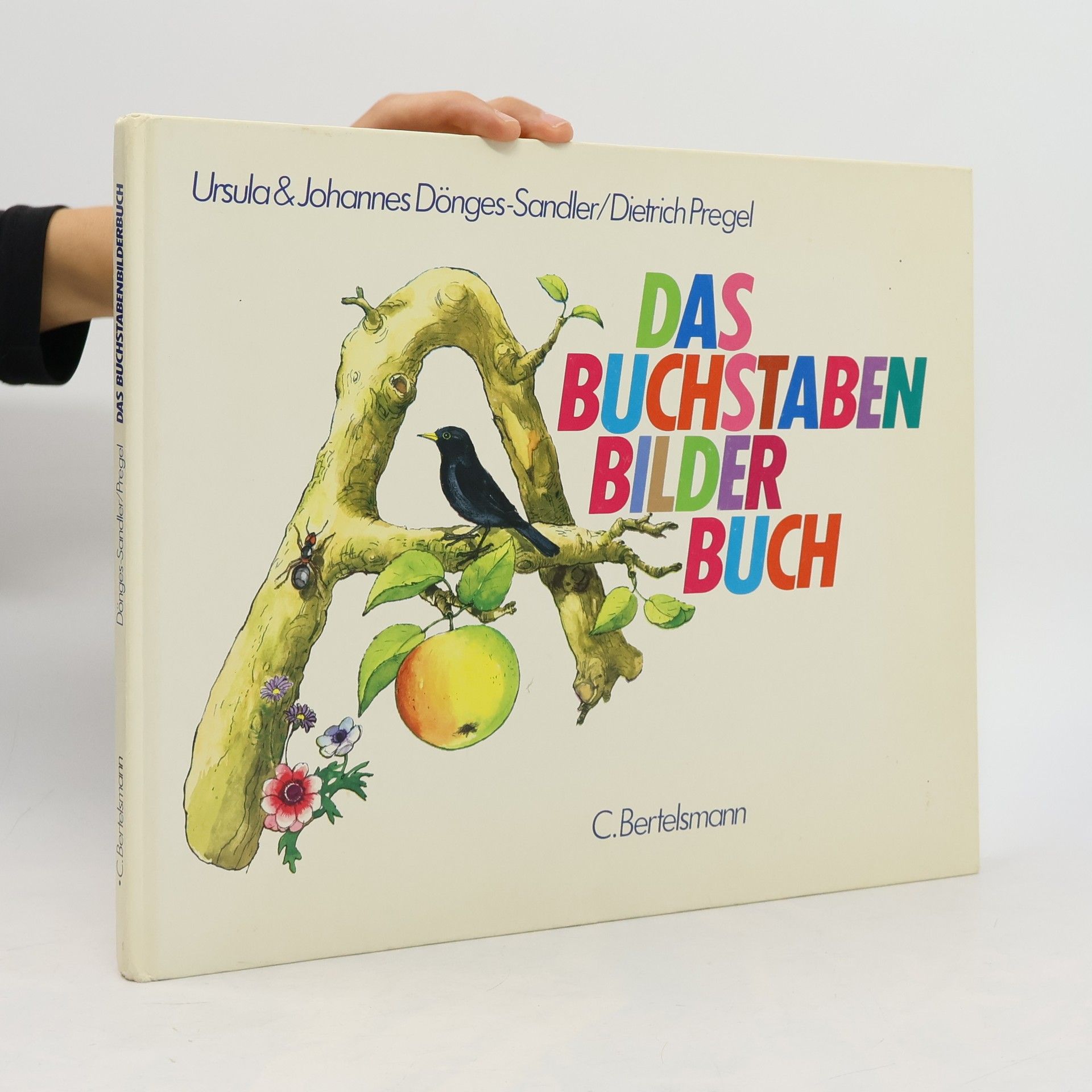 Johannes Dönges-Sandler Das Buchstaben-Bilderbuch