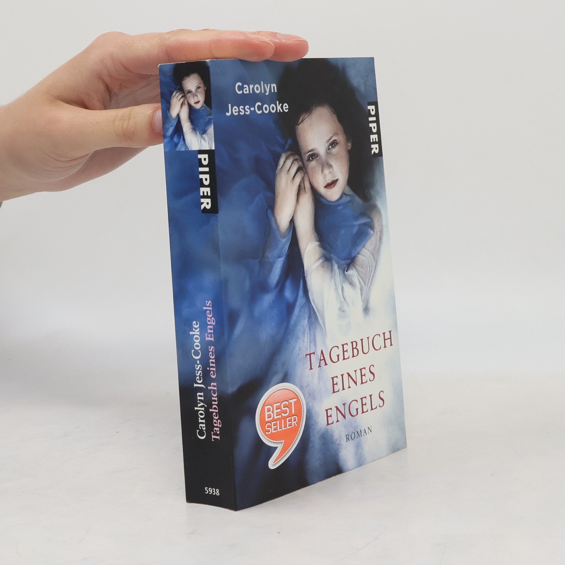 Carolyn Jess Cooke Tagebuch eines Engels (Deník anděla)