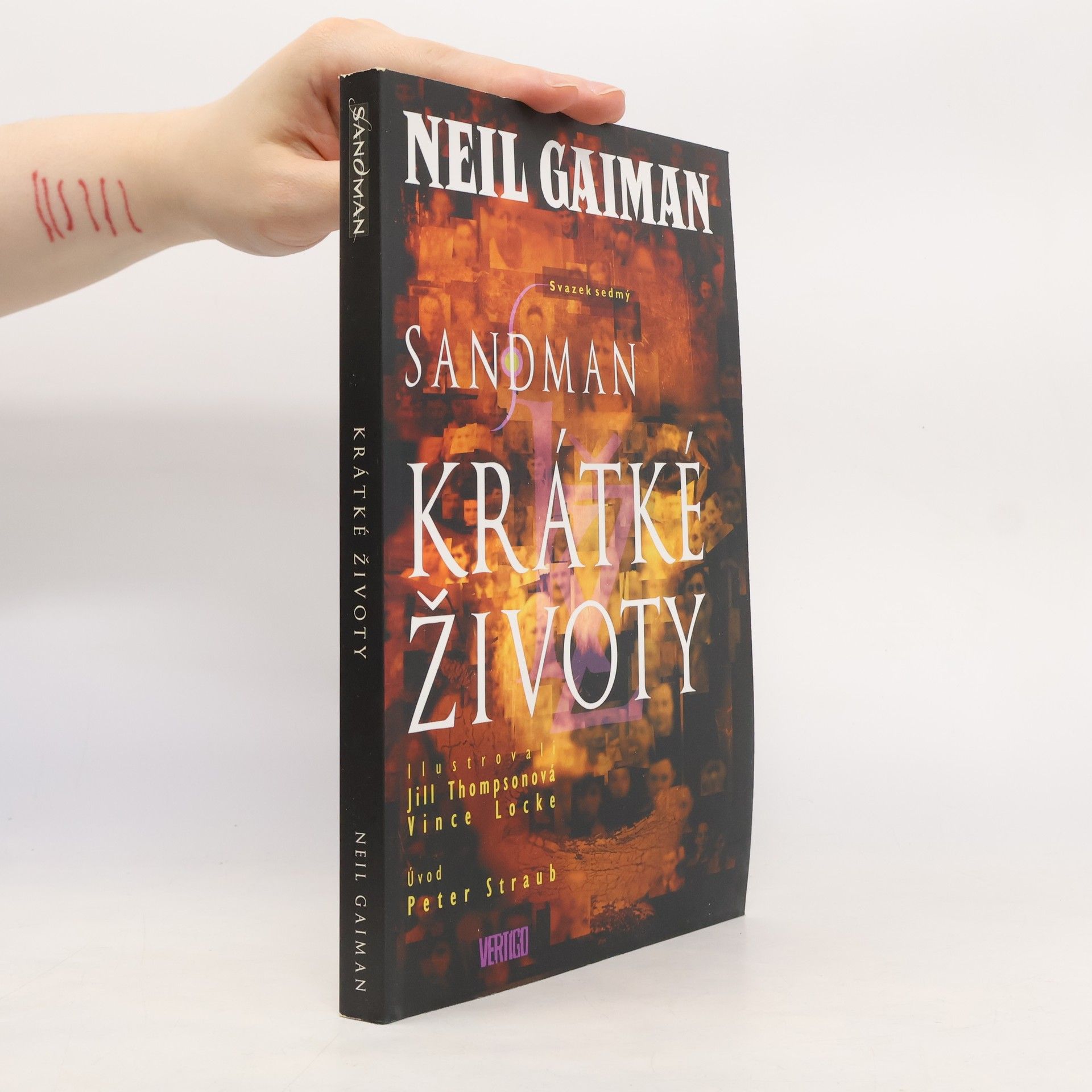 Neil Gaiman Sandman. Krátké životy
