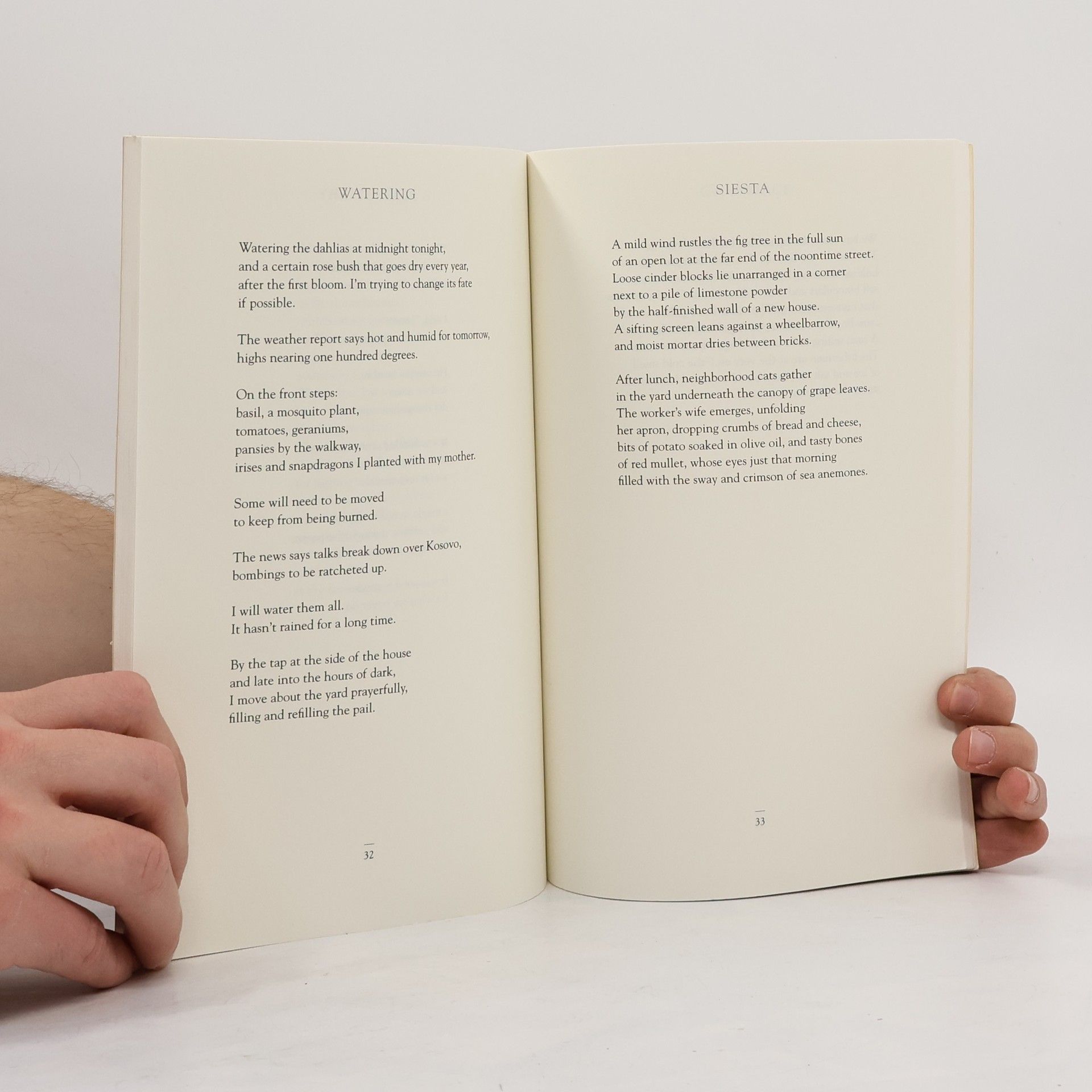 Tryfon Tolides The National Poetry Series: An Almost Pure Empty Walking