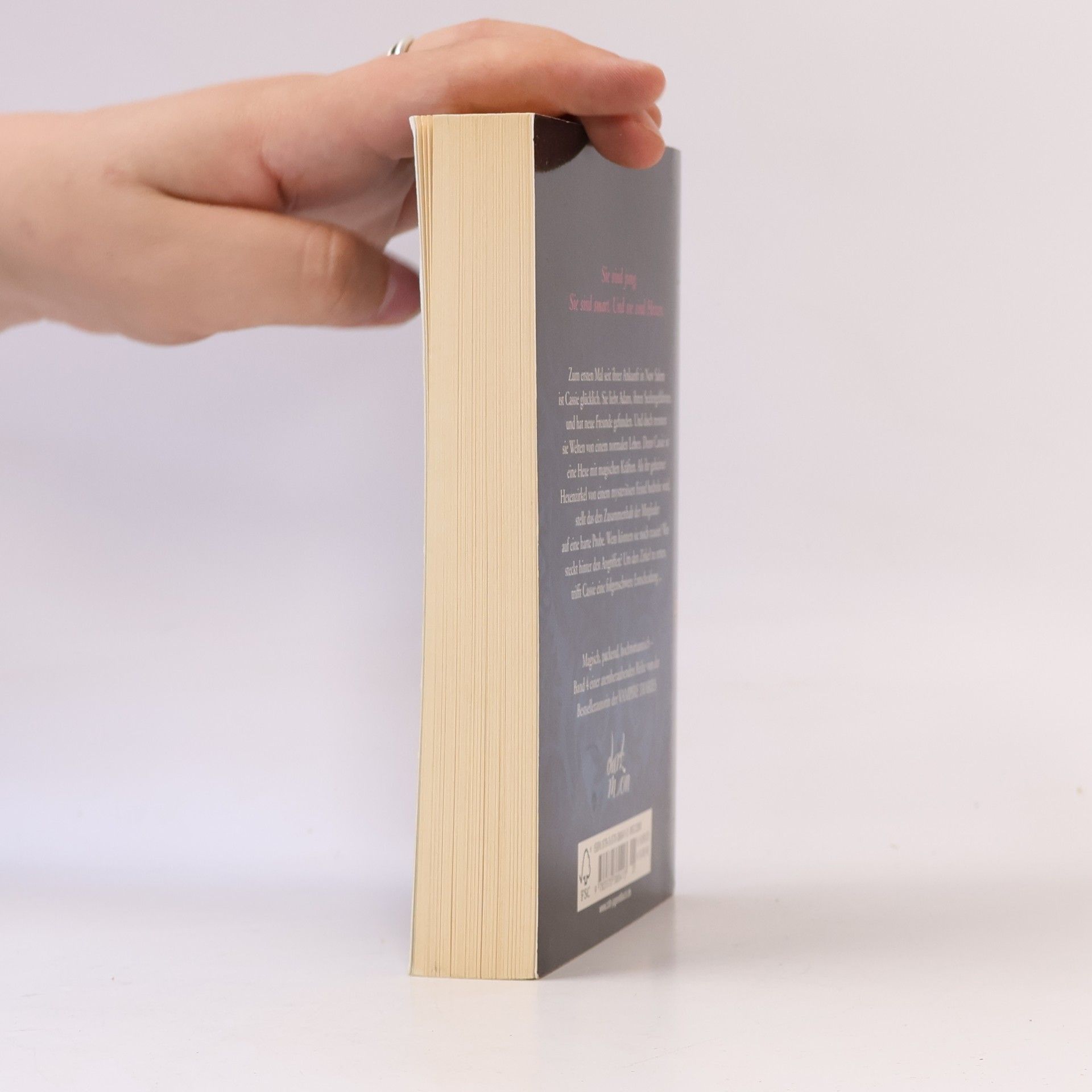 L. J. Smith Der magische Zirkel - Der Abgrund