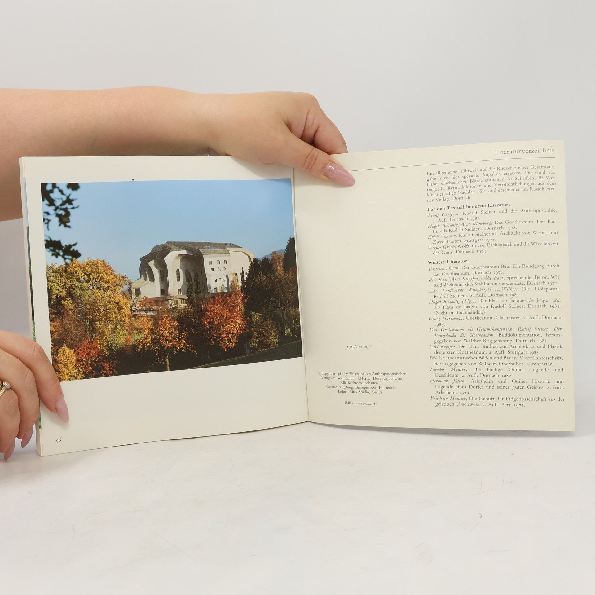 Hans Ruedi Clerc Das Goetheanum und seine Umgebung