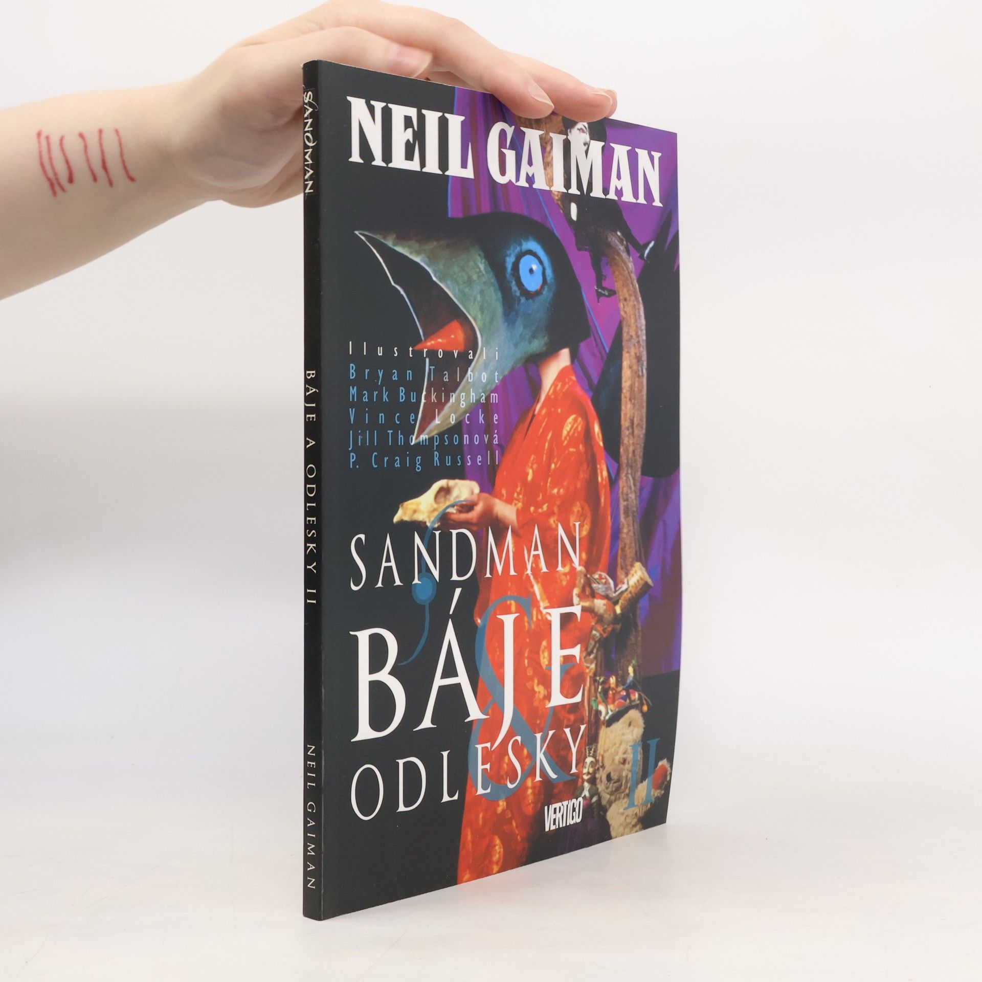 Neil Gaiman Báje & odlesky II