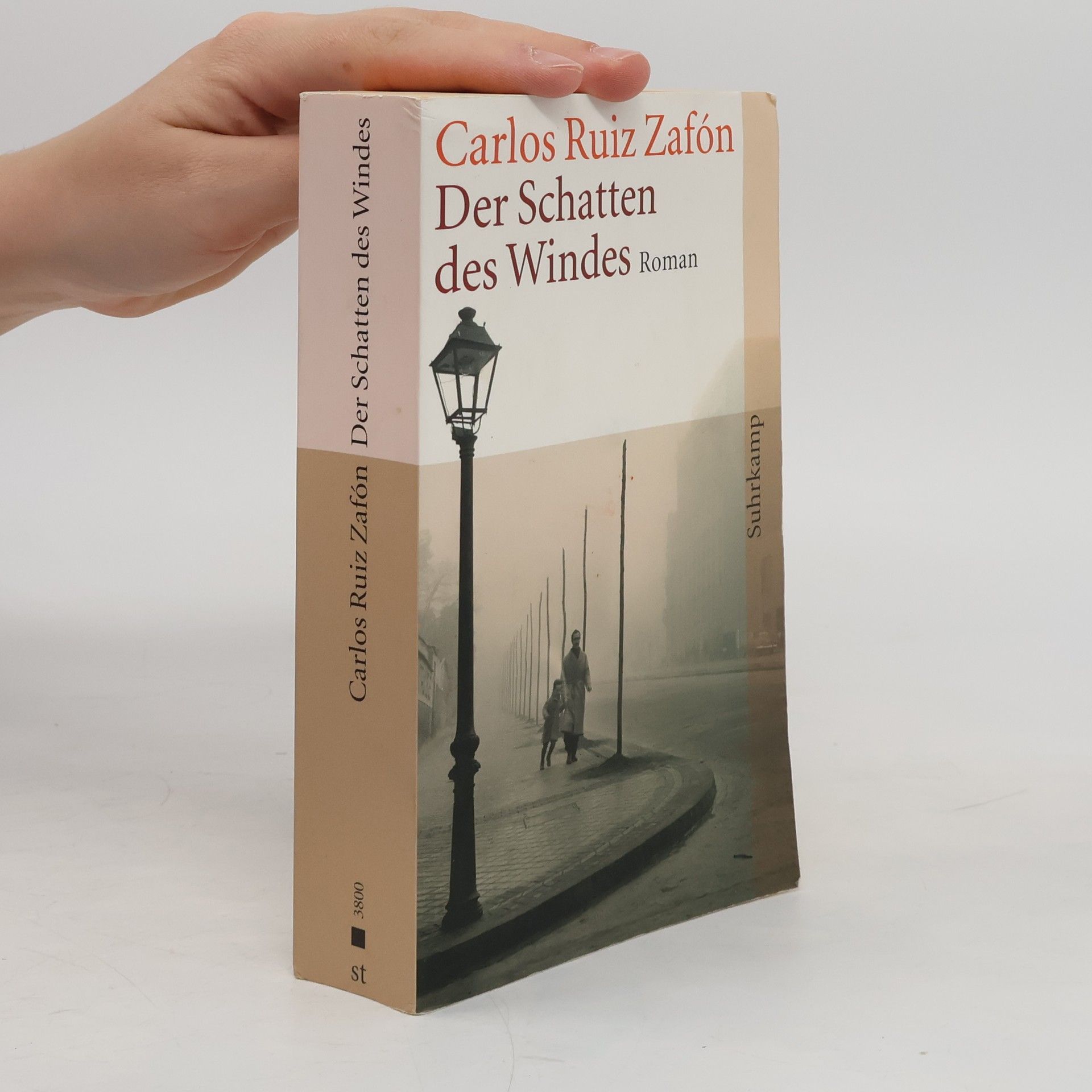 Der Schatten des Windes