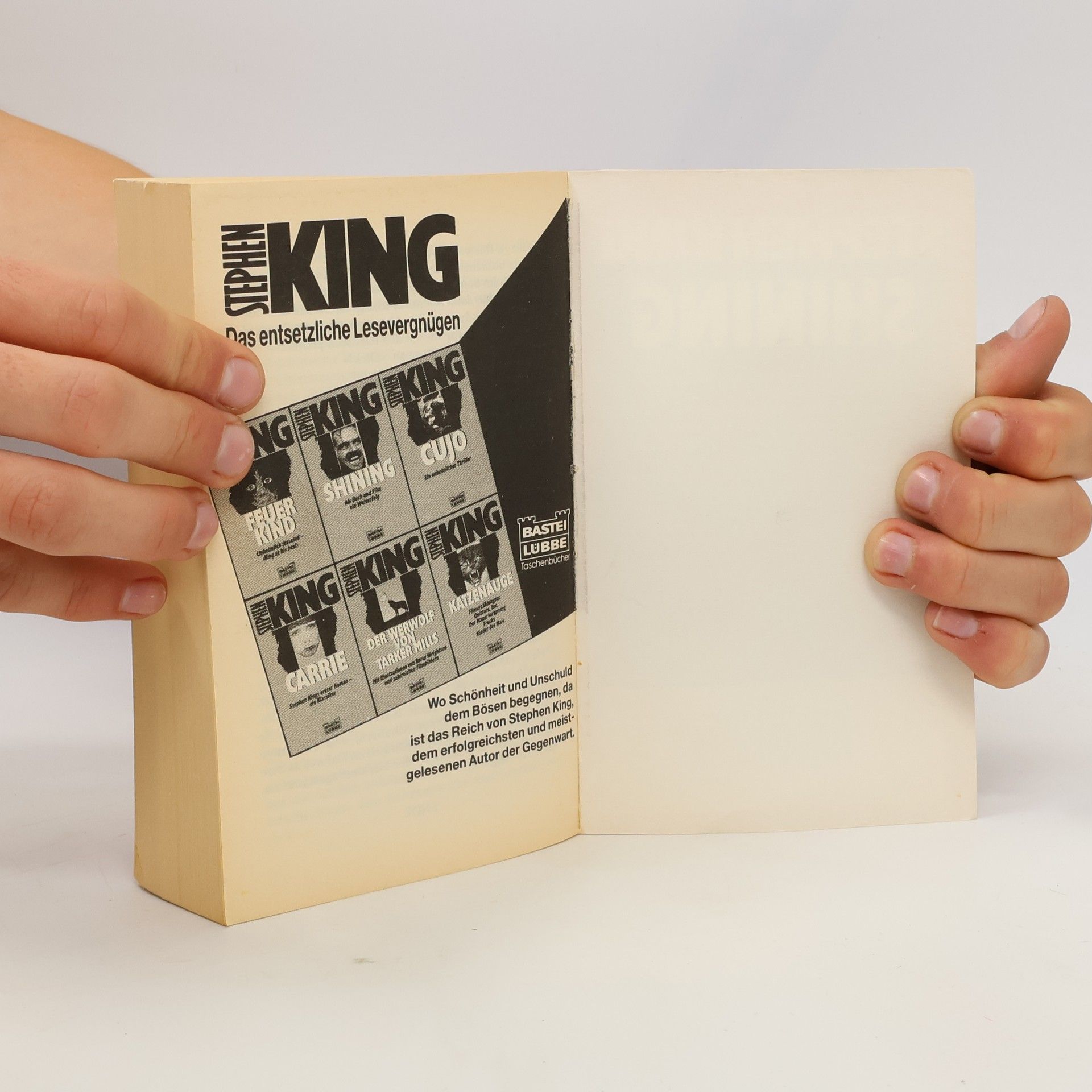 Stephen King Shining