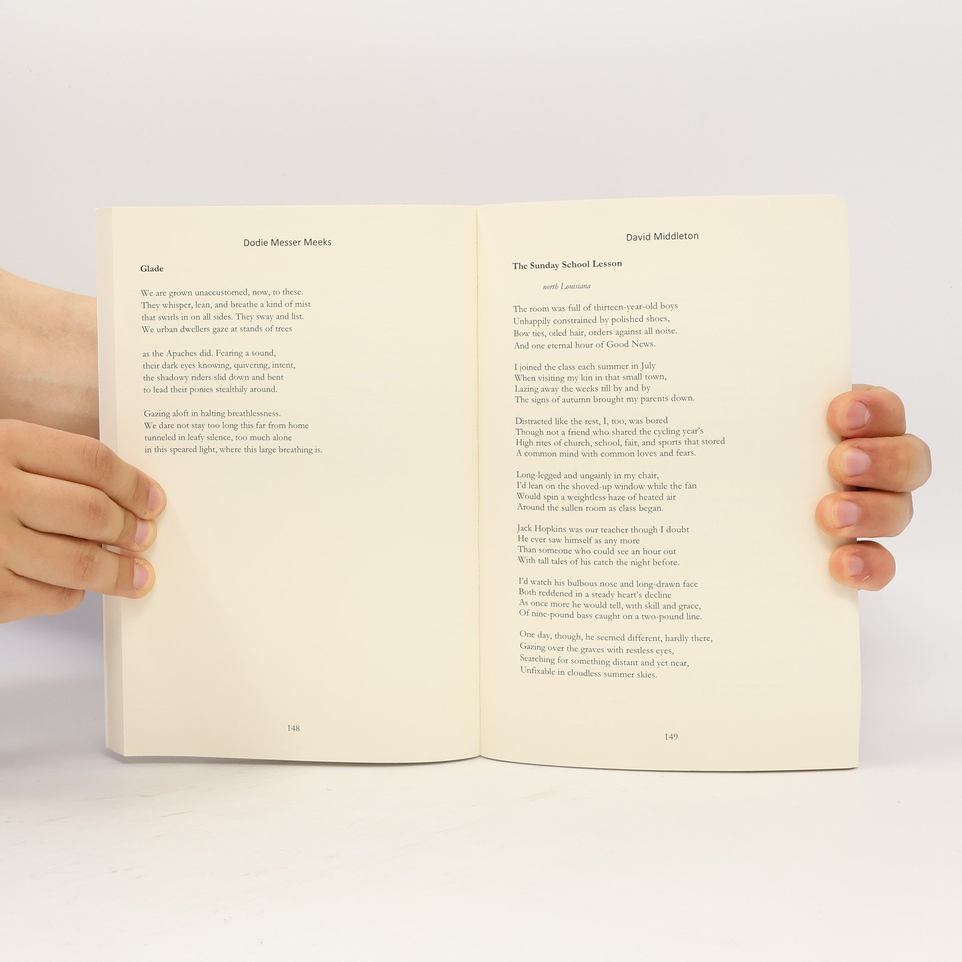 Martha Serpas Improbable Worlds