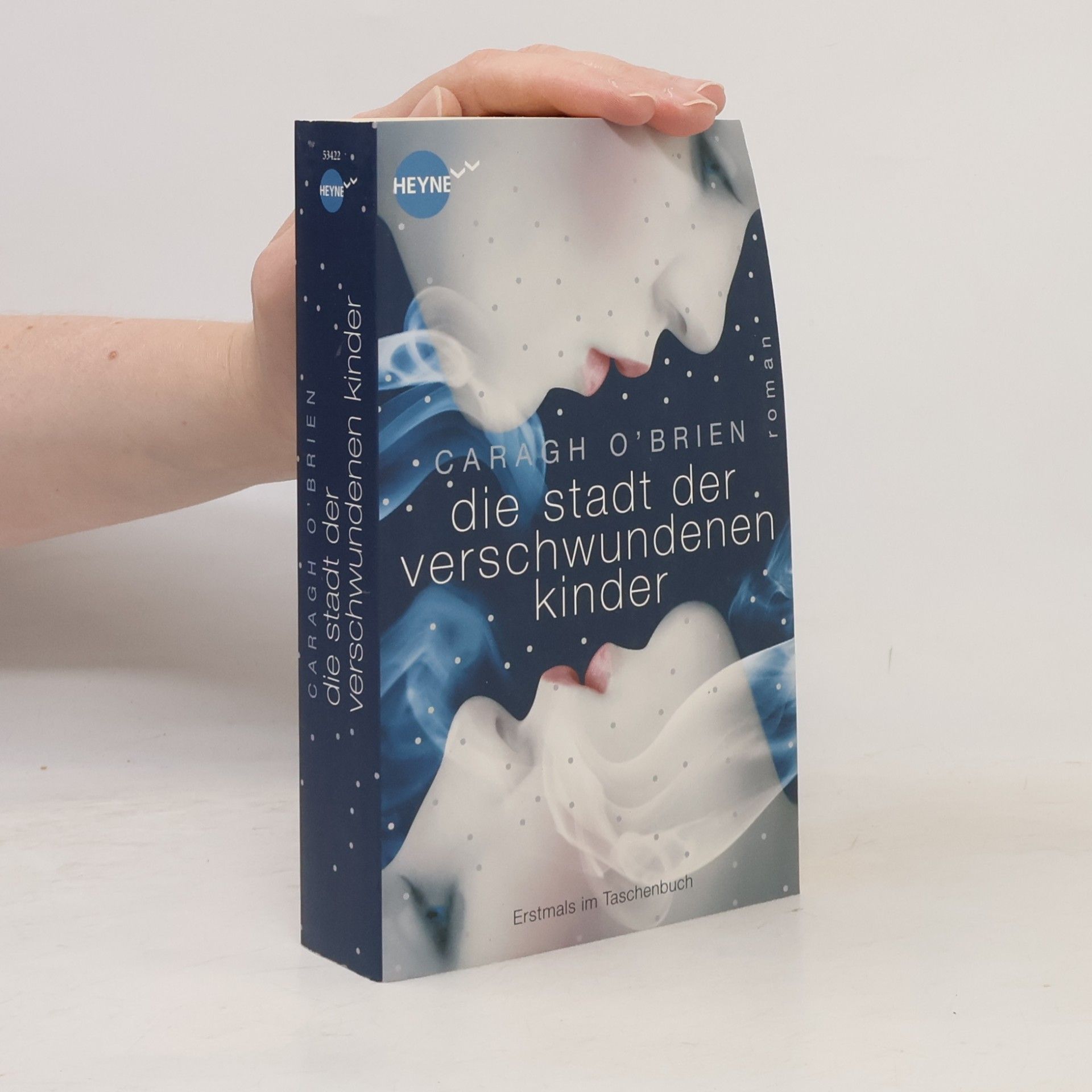 Caragh O. Brien Die Stadt der verschwundenen Kinder