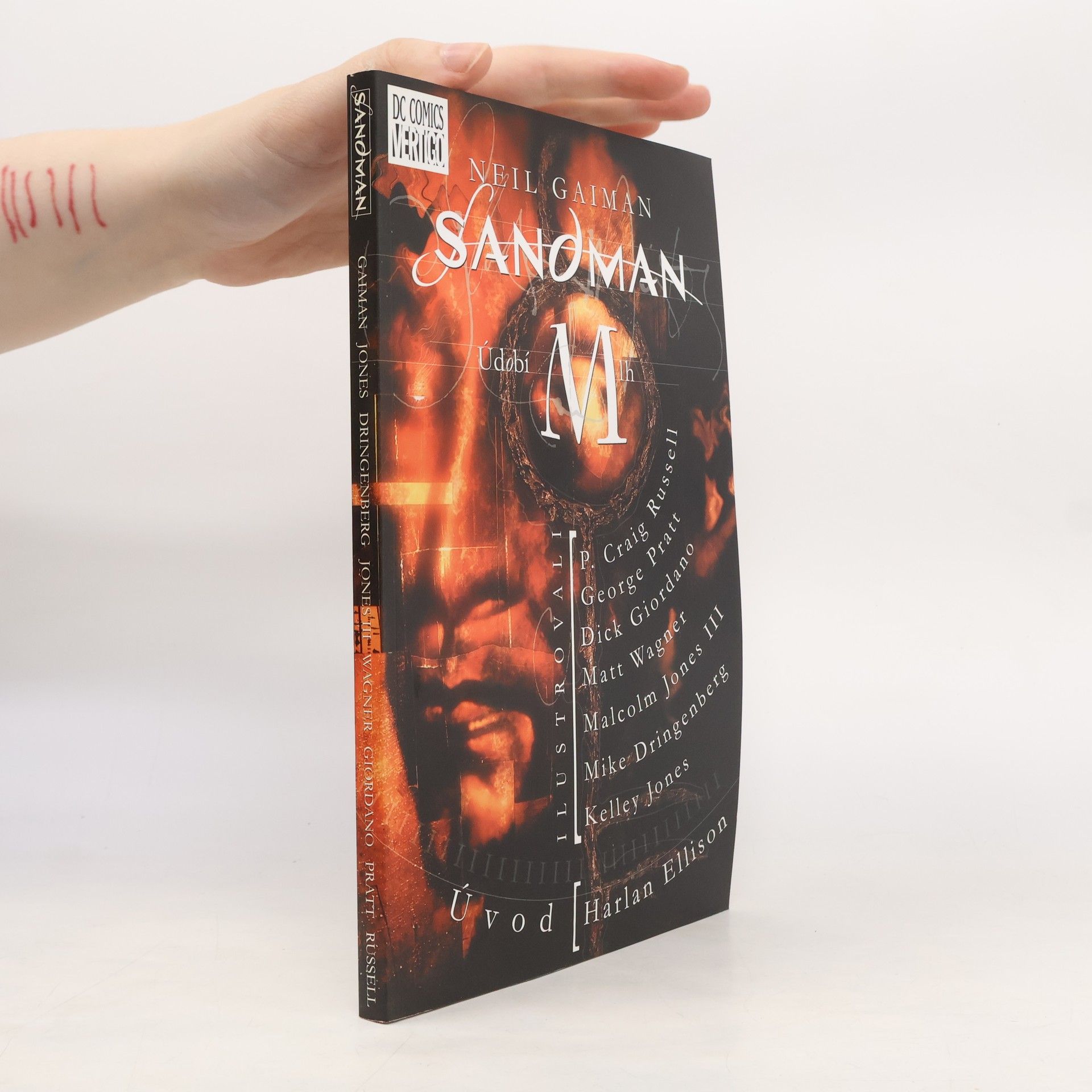 Neil Gaiman Sandman. Údobí mlh