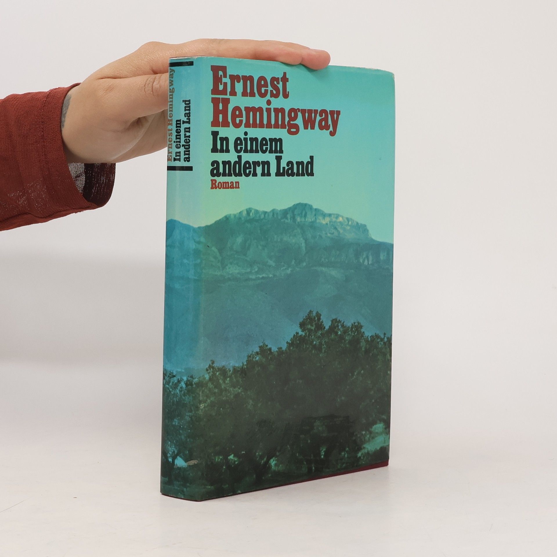 Ernest Hemingway In einem andern Land