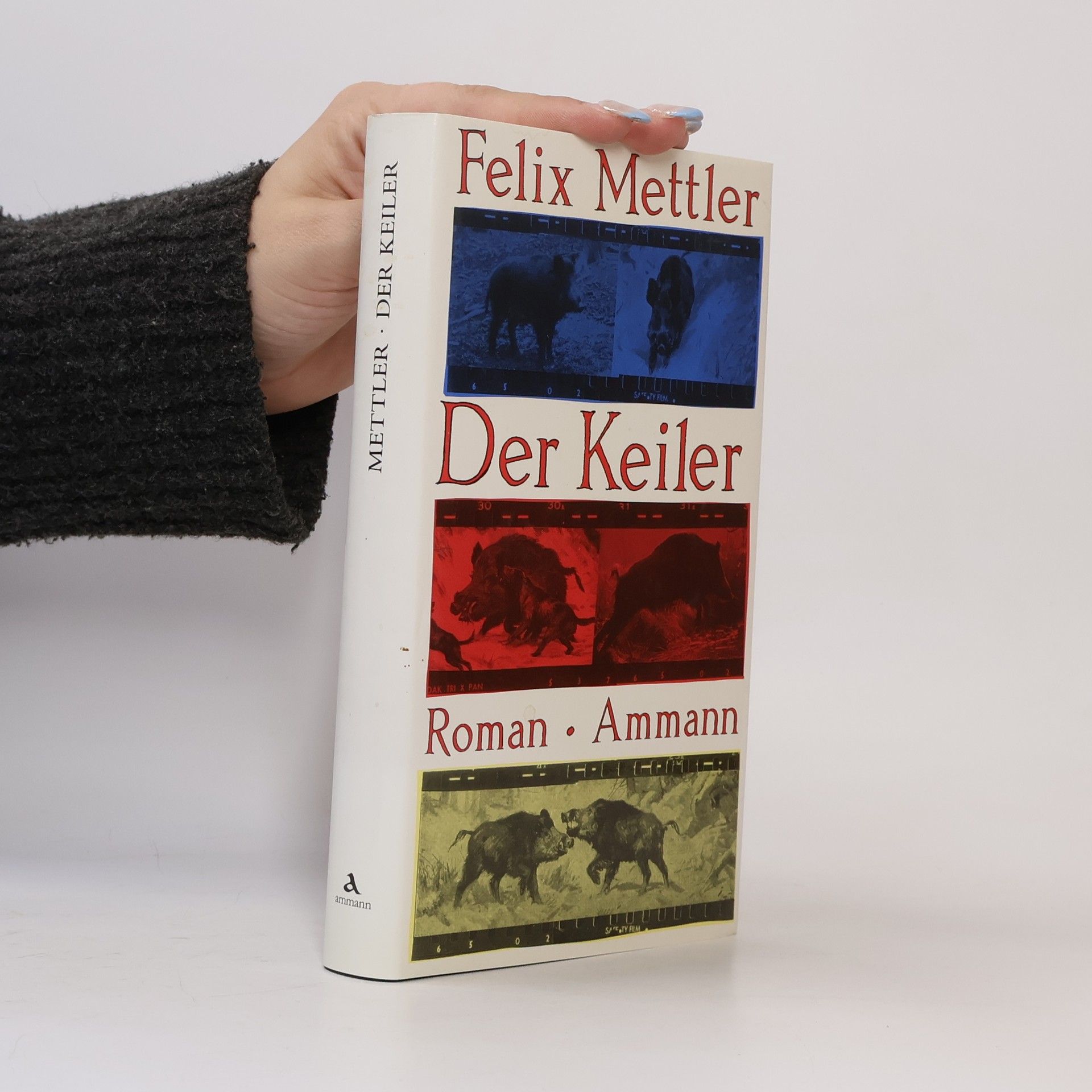 Felix Mettler Der Keiler