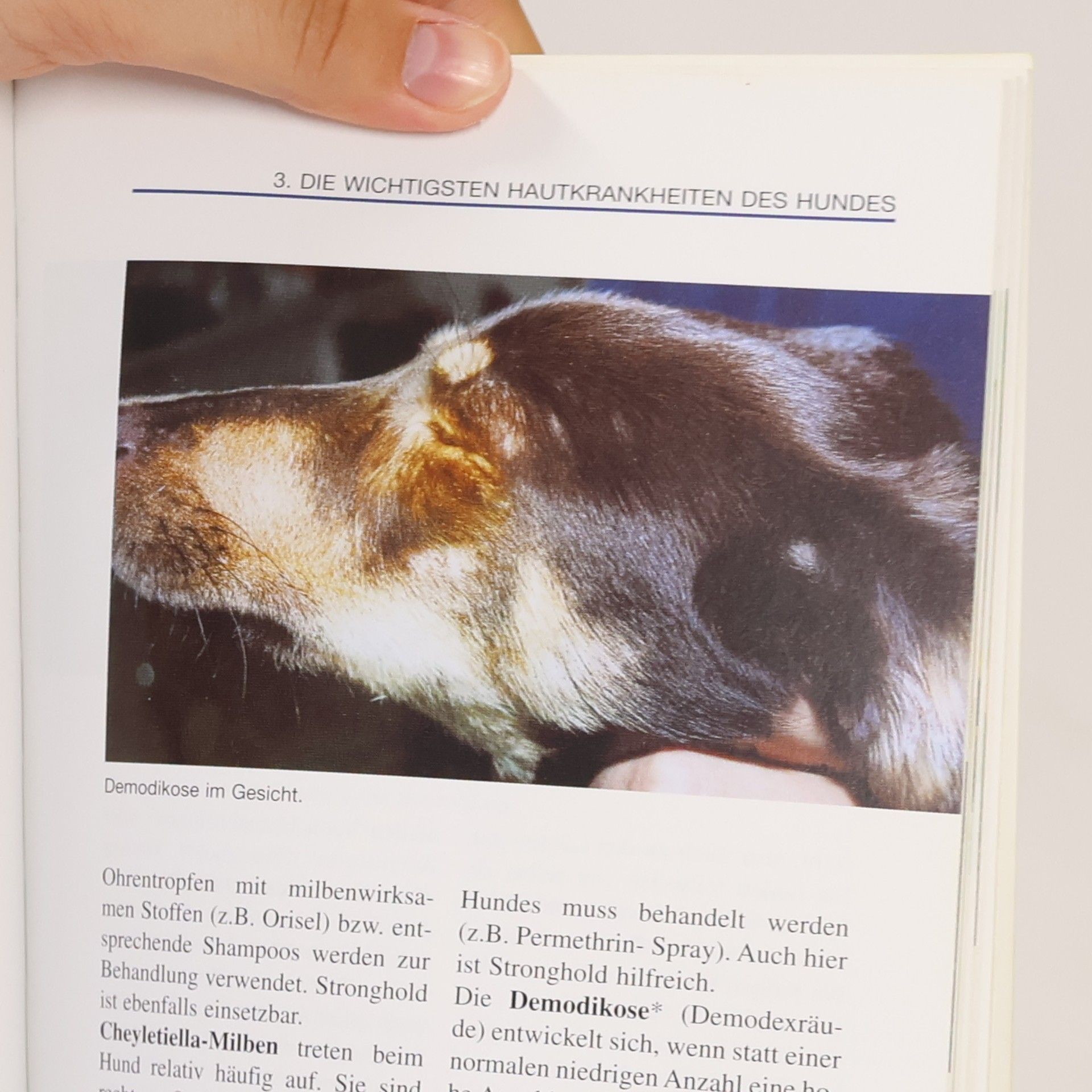 Volker Wienrich Hautkrankheiten und Allergien beim Hund