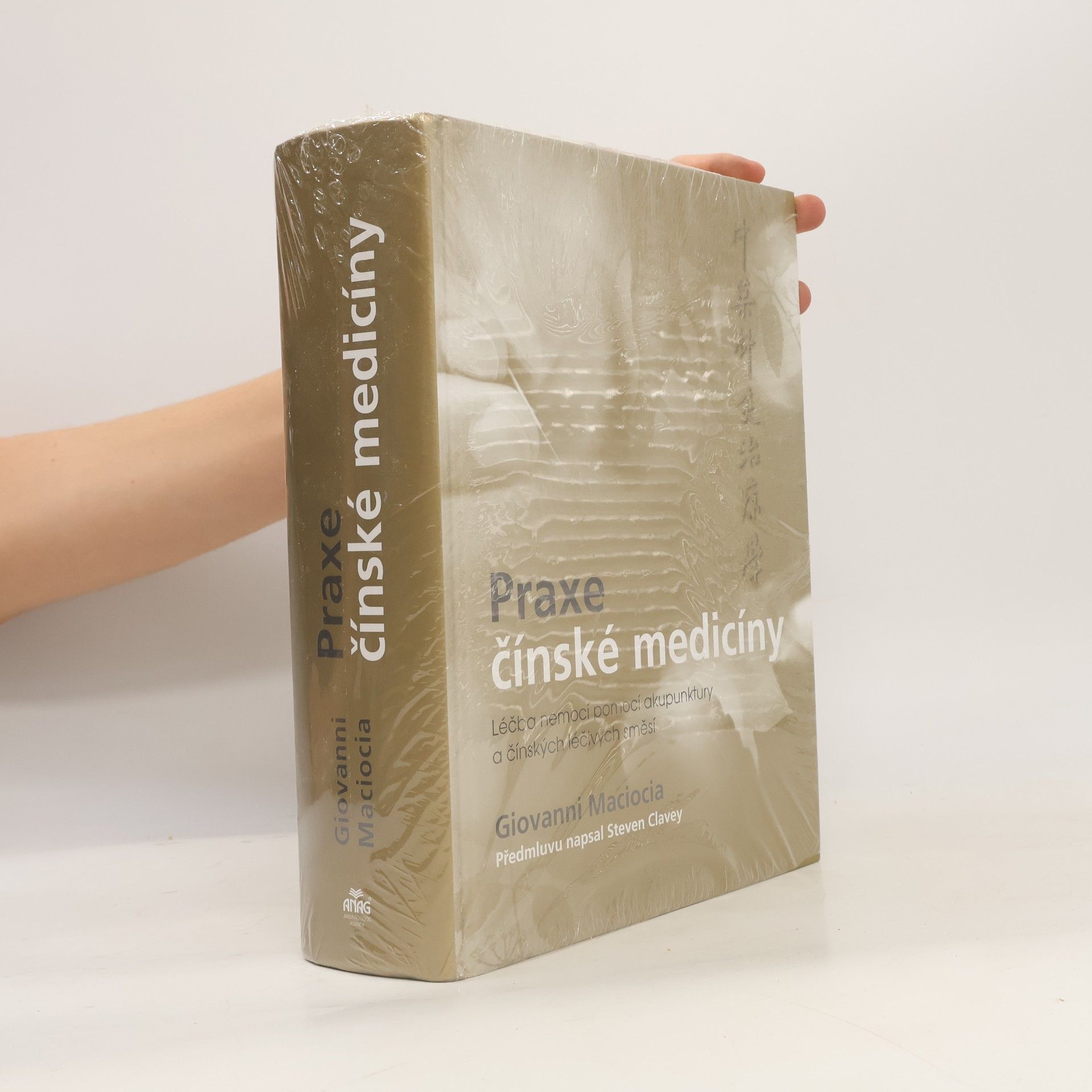 Giovanni Maciocia Praxe čínské medicíny