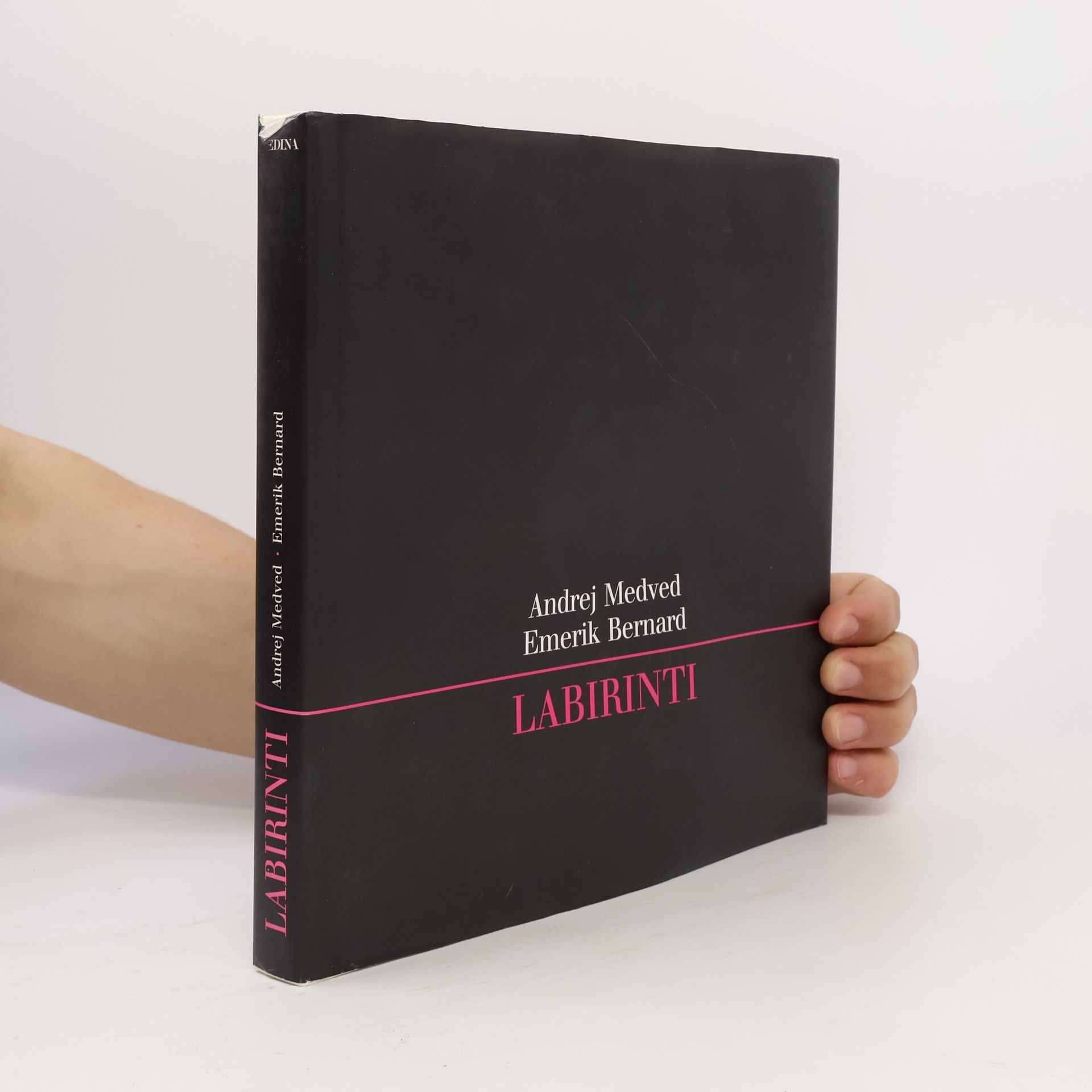 Labirinti (pesmi)