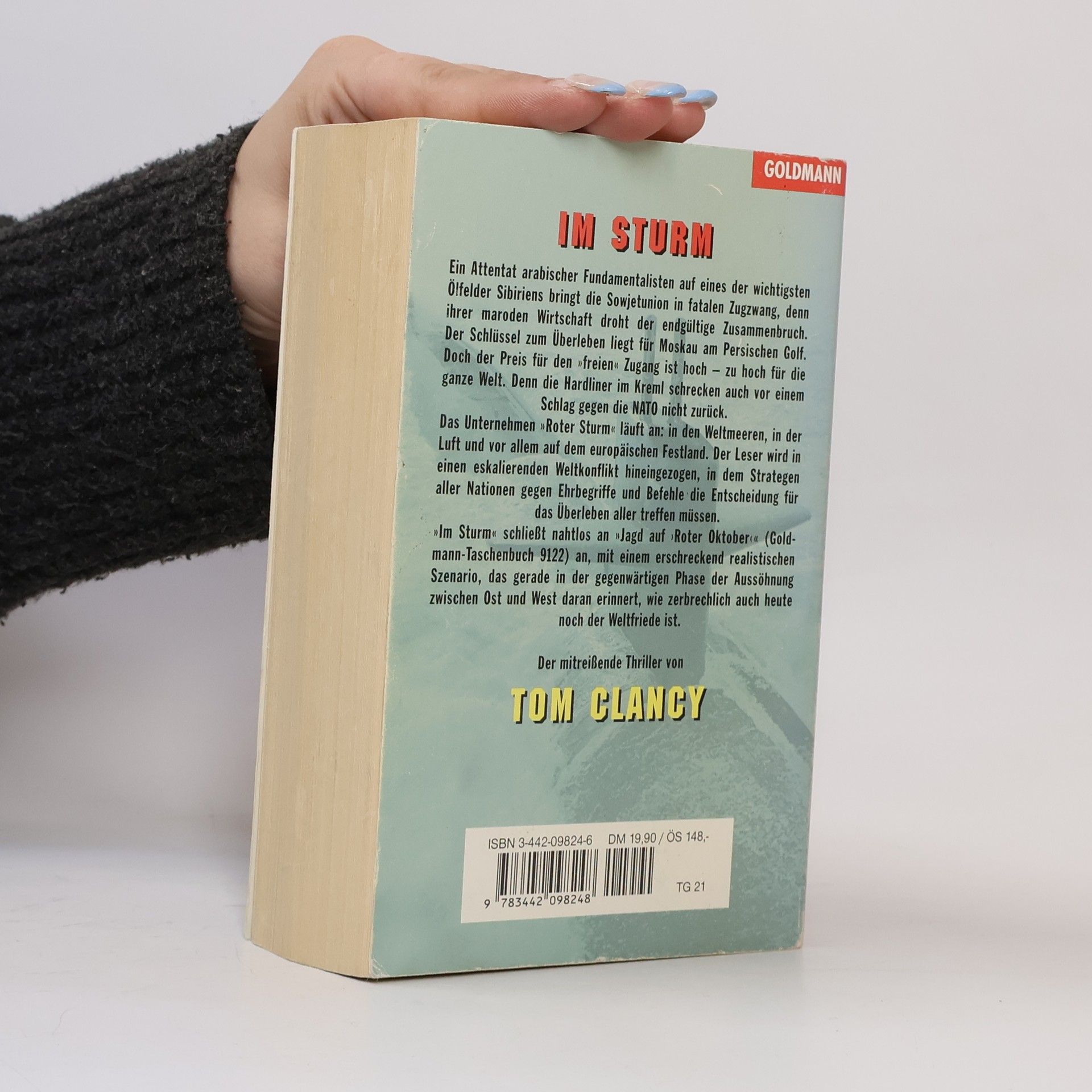 Tom Clancy Im Sturm