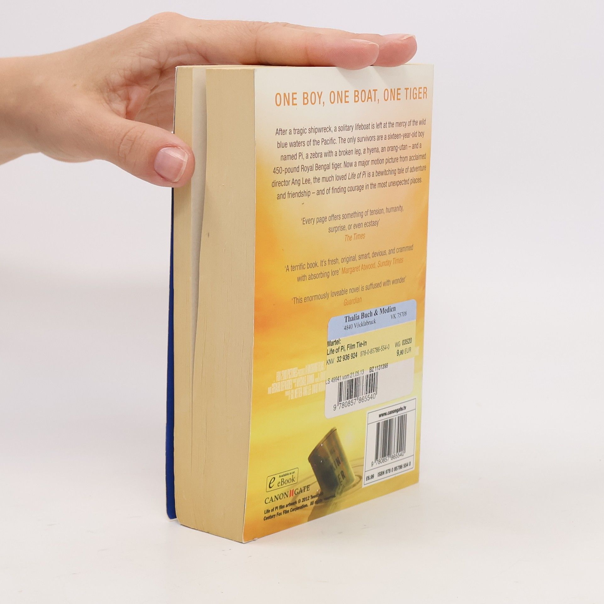 Yann Martel Life of Pi