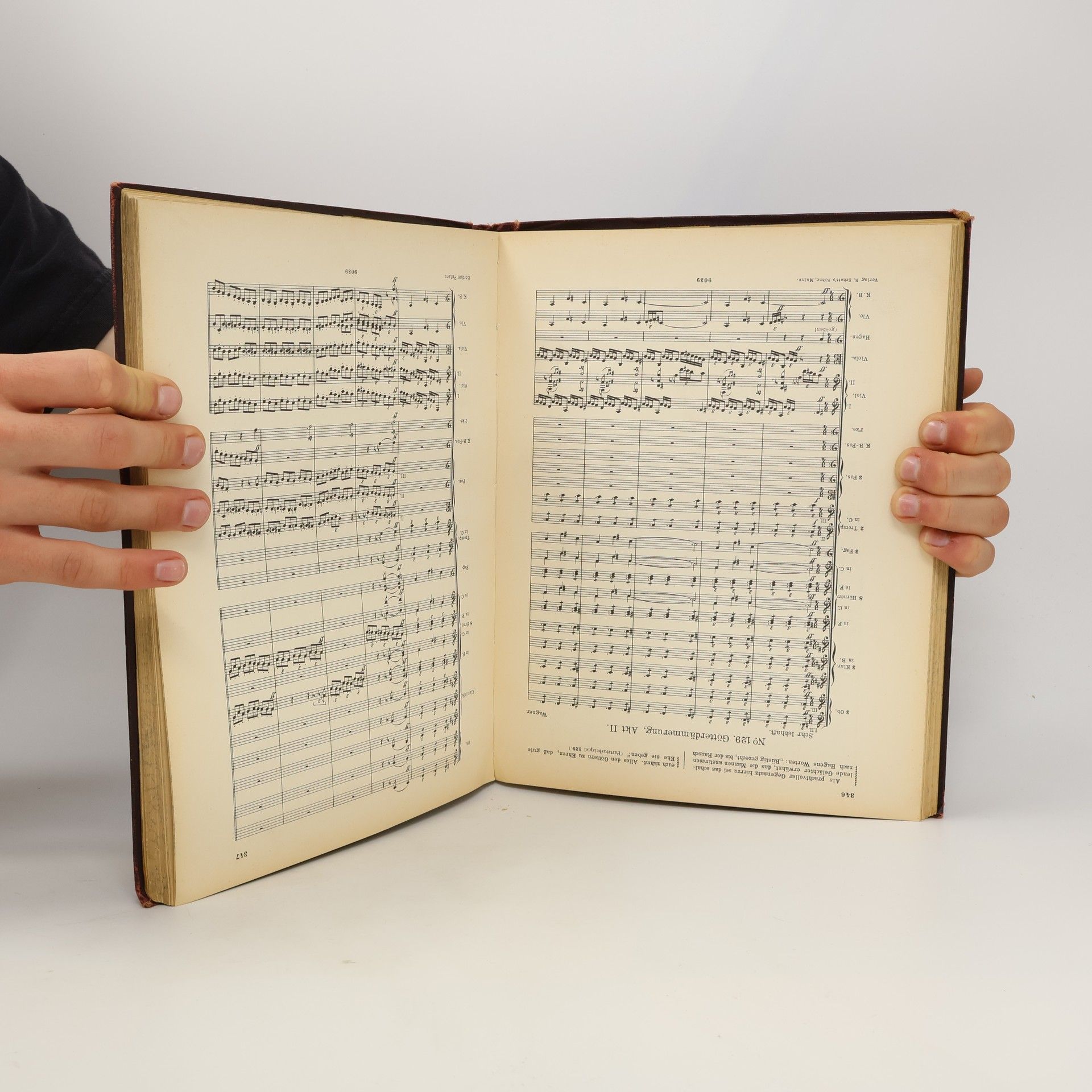 Hector Berlioz Instrumentationslehre