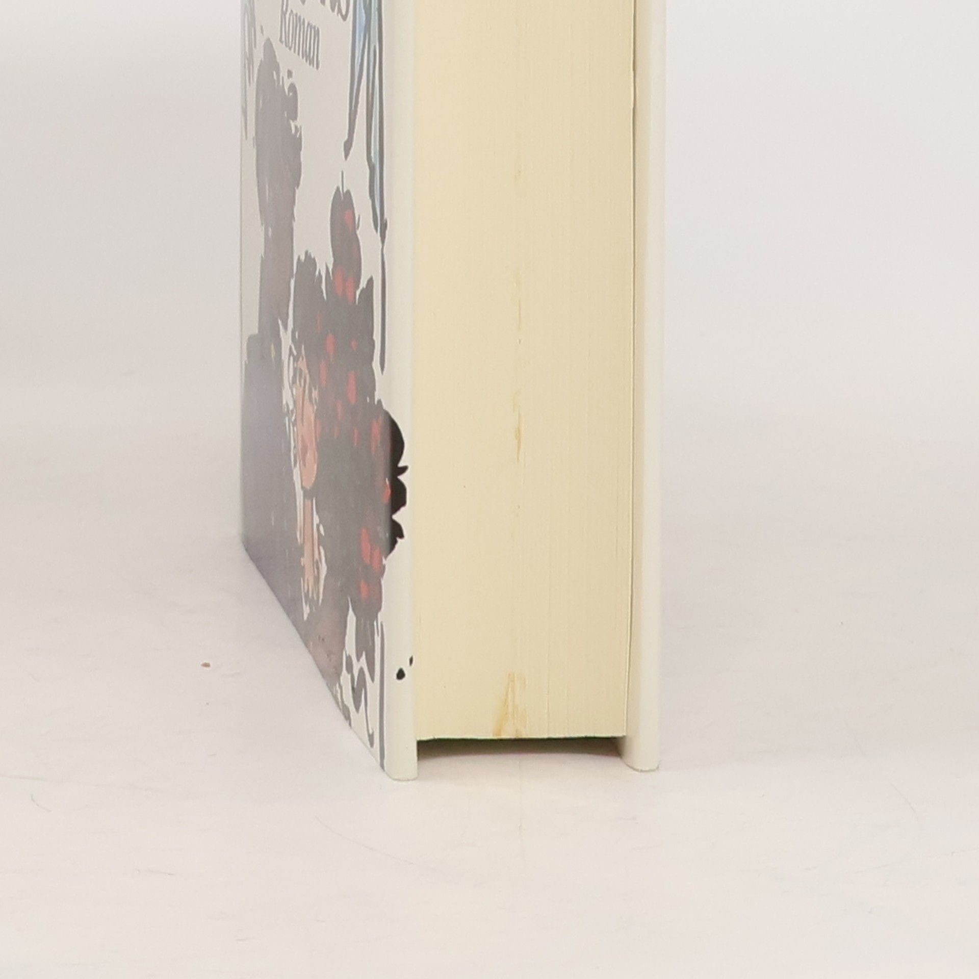 Stefan Zweig Ungeduld des Herzens