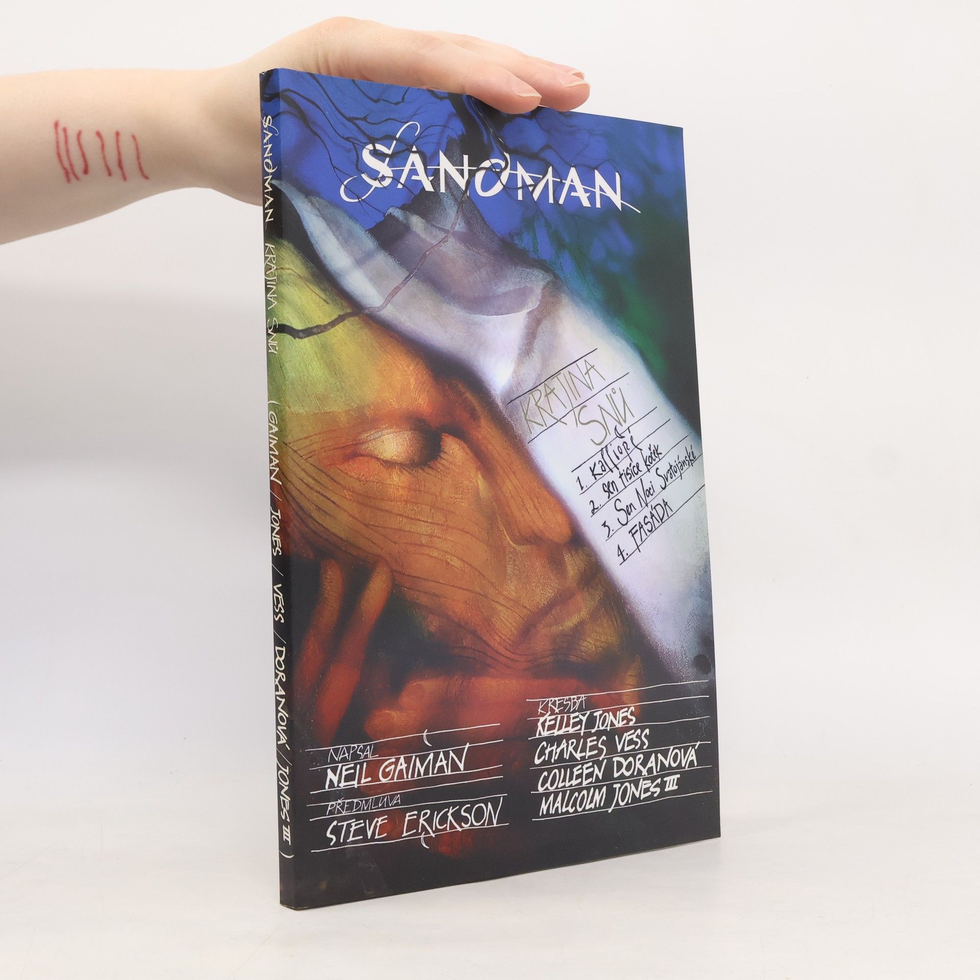 Sandman. Krajina snů