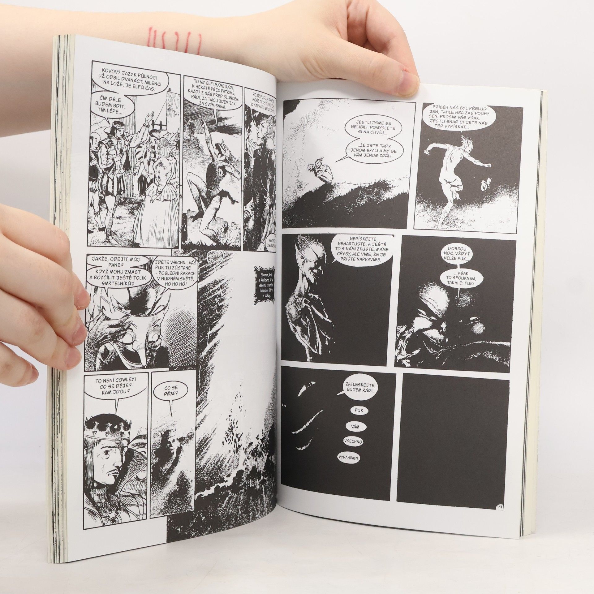 Neil Gaiman Sandman. Krajina snů