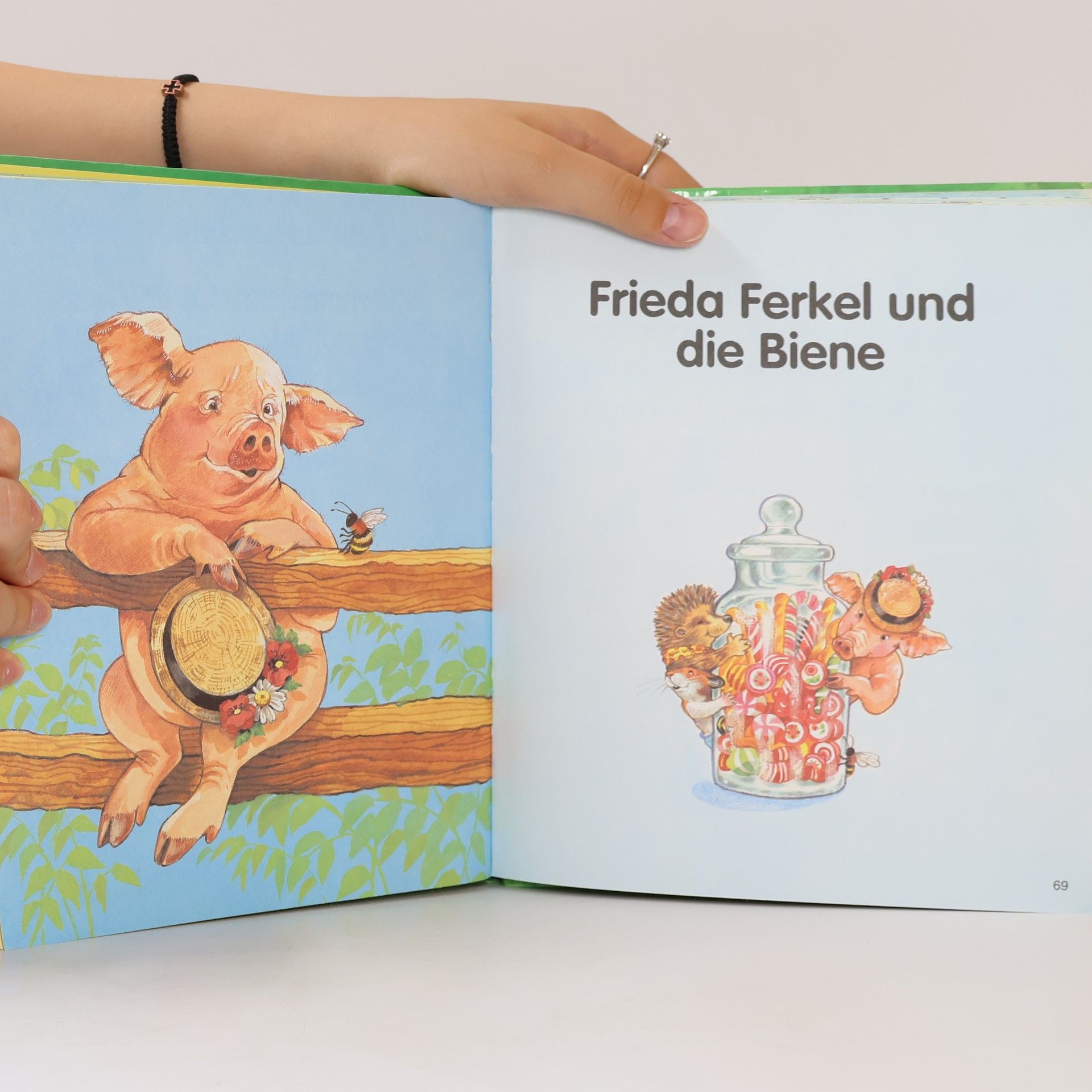 Kolektiv autorů Geschichten von Tieren zum Lesen und Lernen. 4-8 Jahre