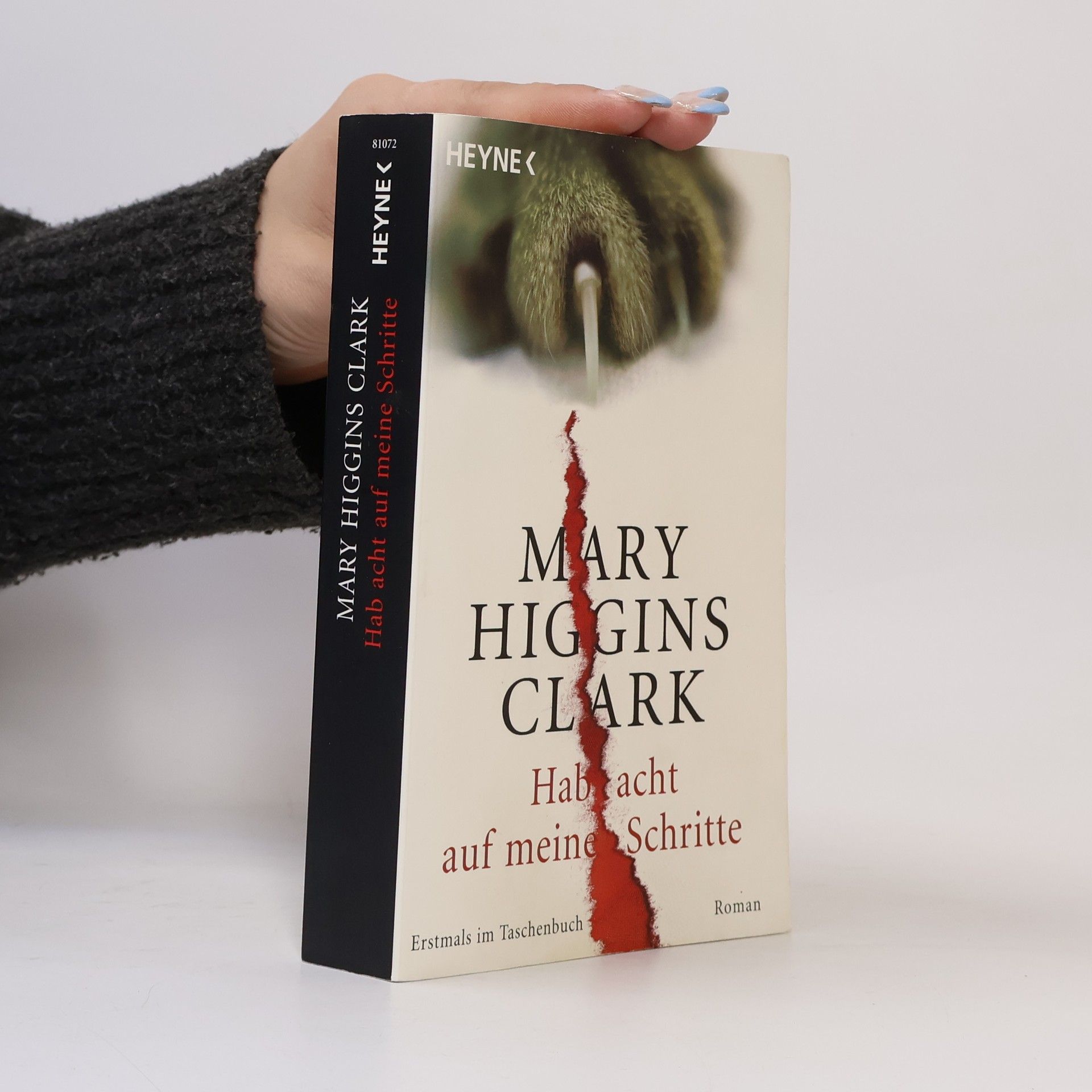Mary Higgins Clark Hab acht auf meine Schritte
