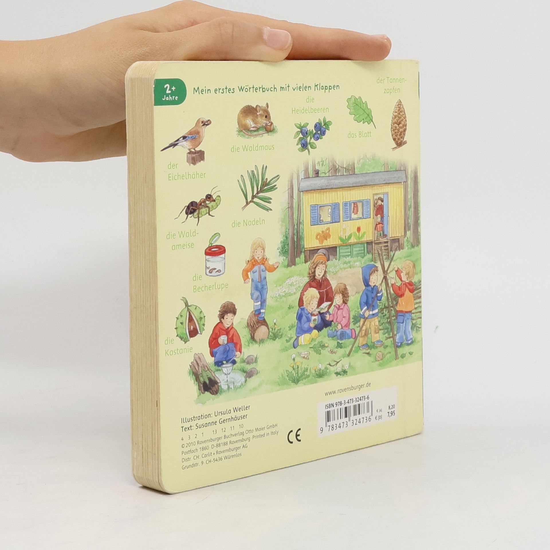 Ursula Weller Mein erstes Wörterbuch