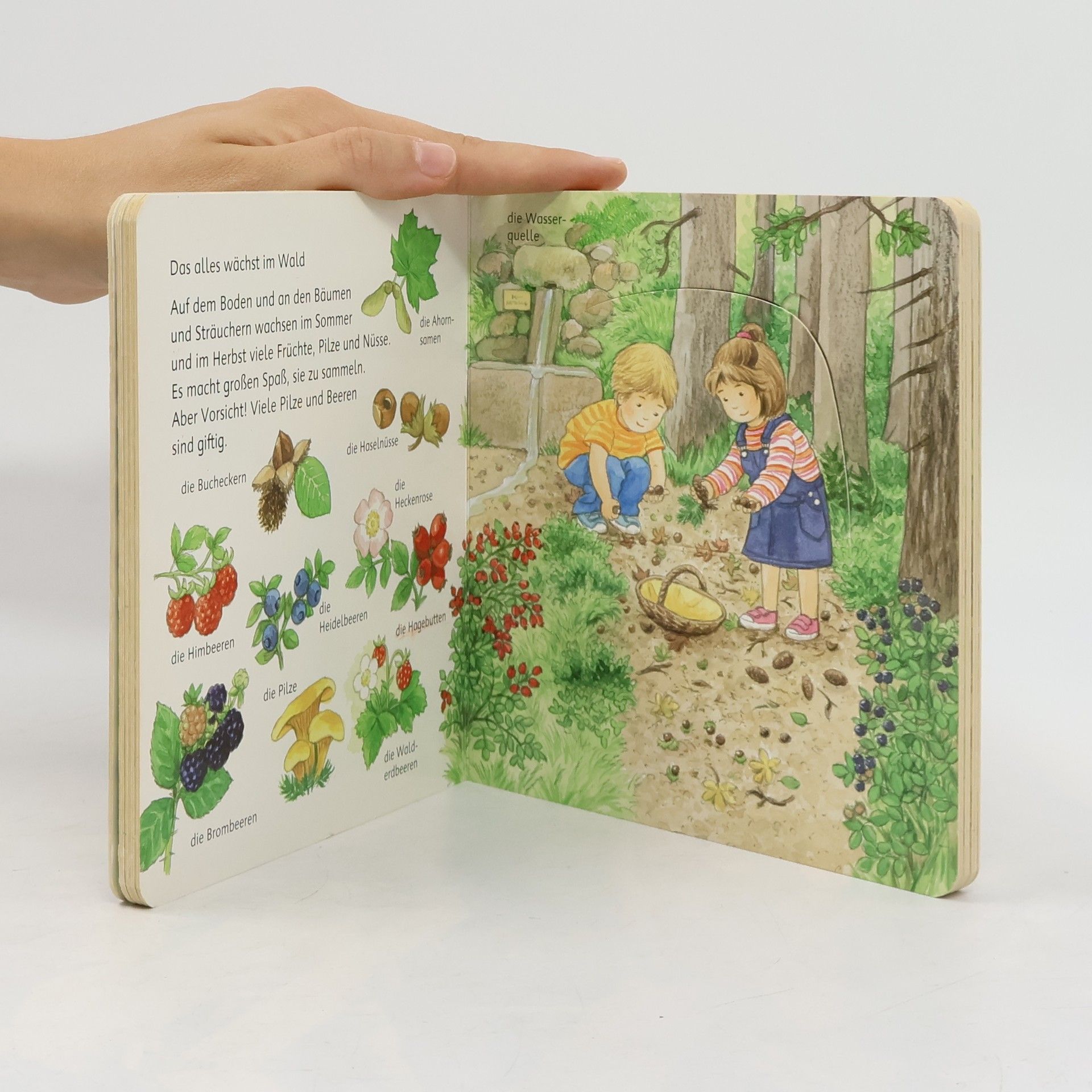 Ursula Weller Mein erstes Wörterbuch