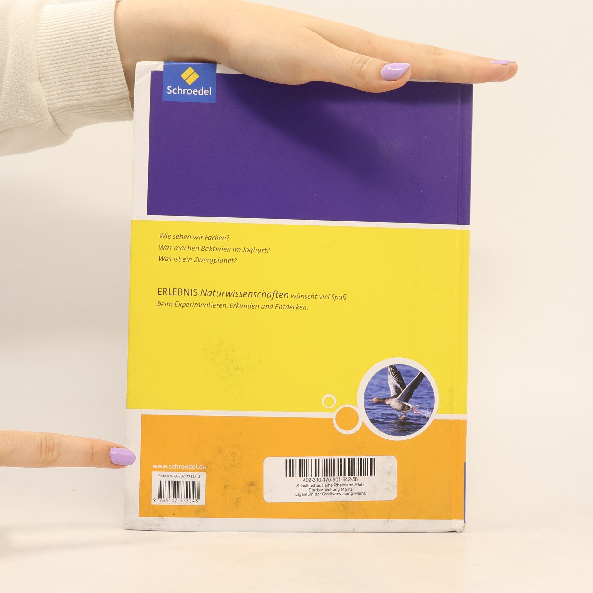 Autorenkollektiv Erlebnis Naturwissenschaften 5