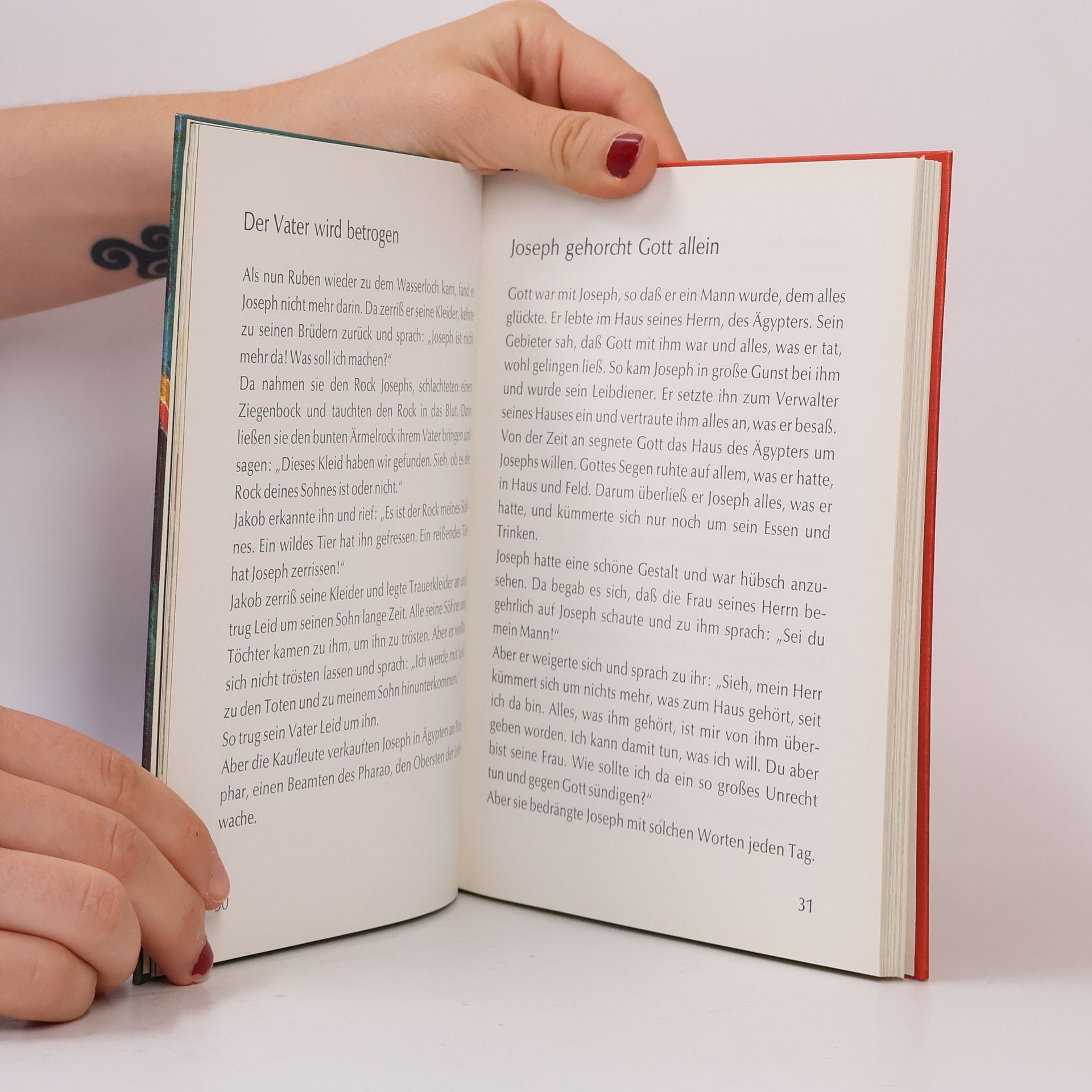 Roland Fürstenhöfer Meine erste Bibel