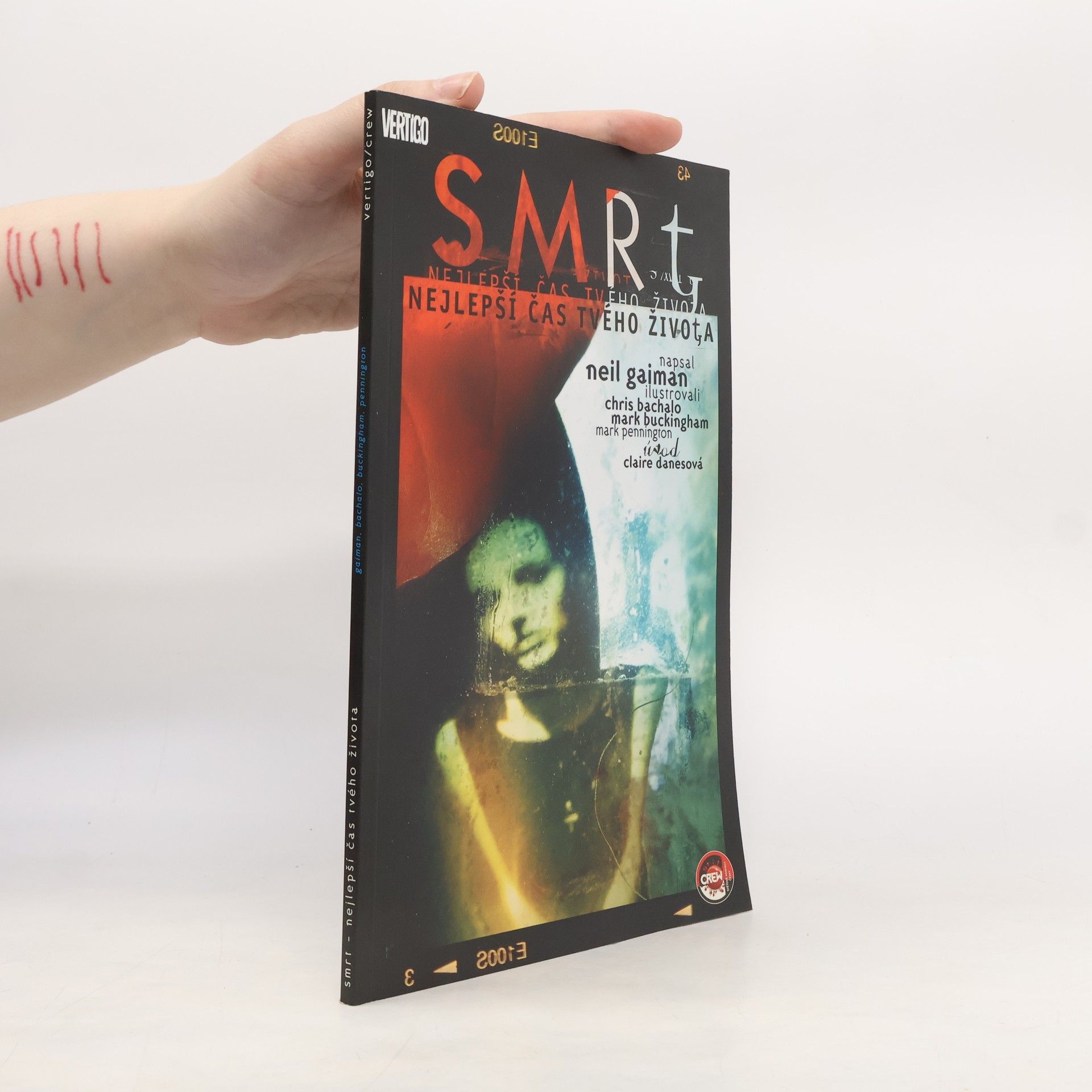 Neil Gaiman Smrt. Nejlepší čas tvého života