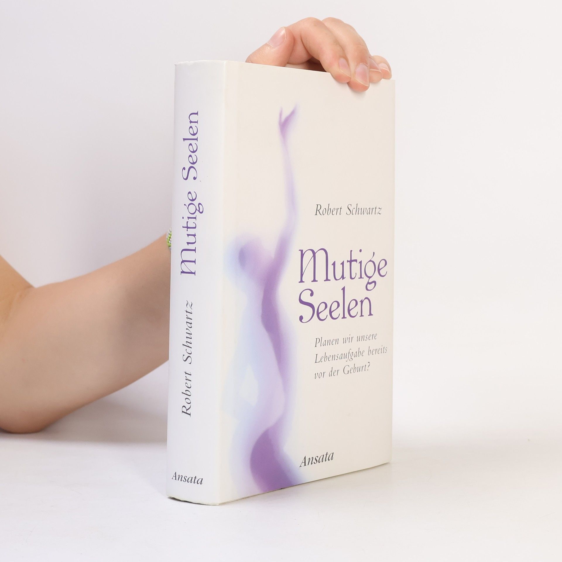 Robert Schwartz Mutige Seelen