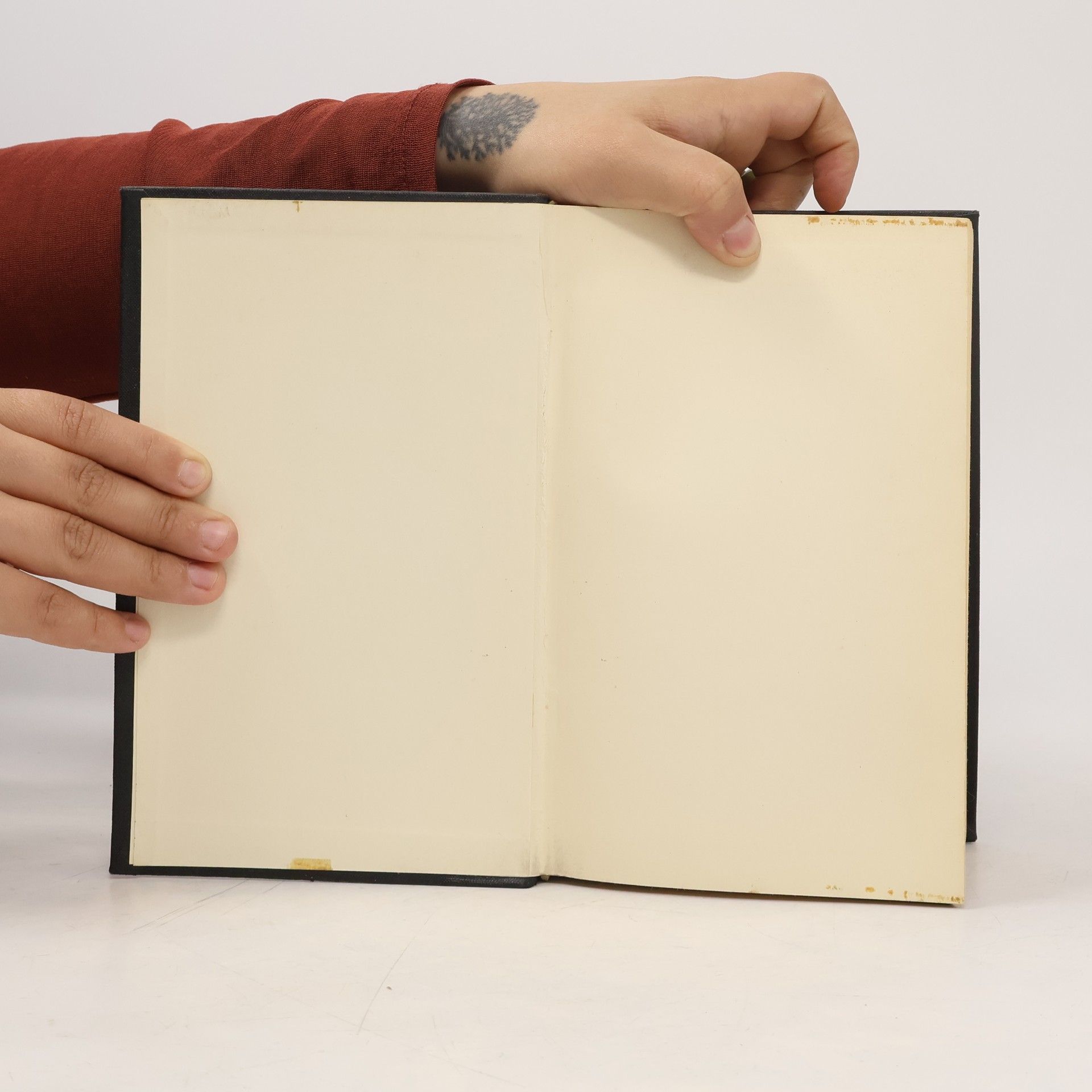 Alexandre Dumas der Ältere Der Graf von Monte Christo
