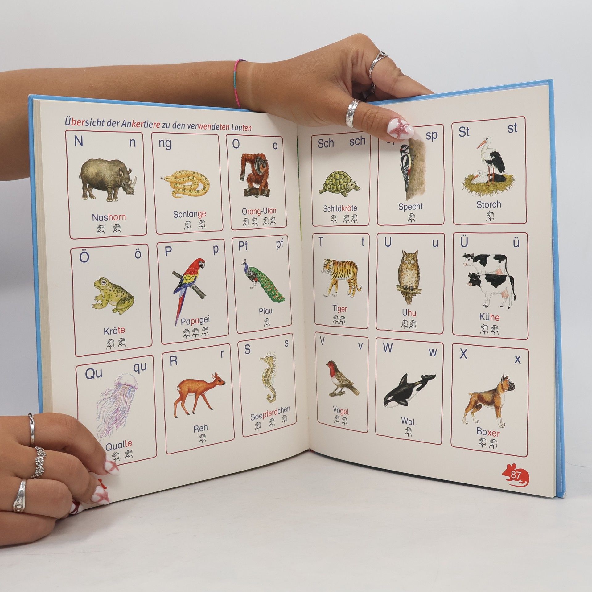 Various authors ABC der Tiere 1. Neubearbeitung