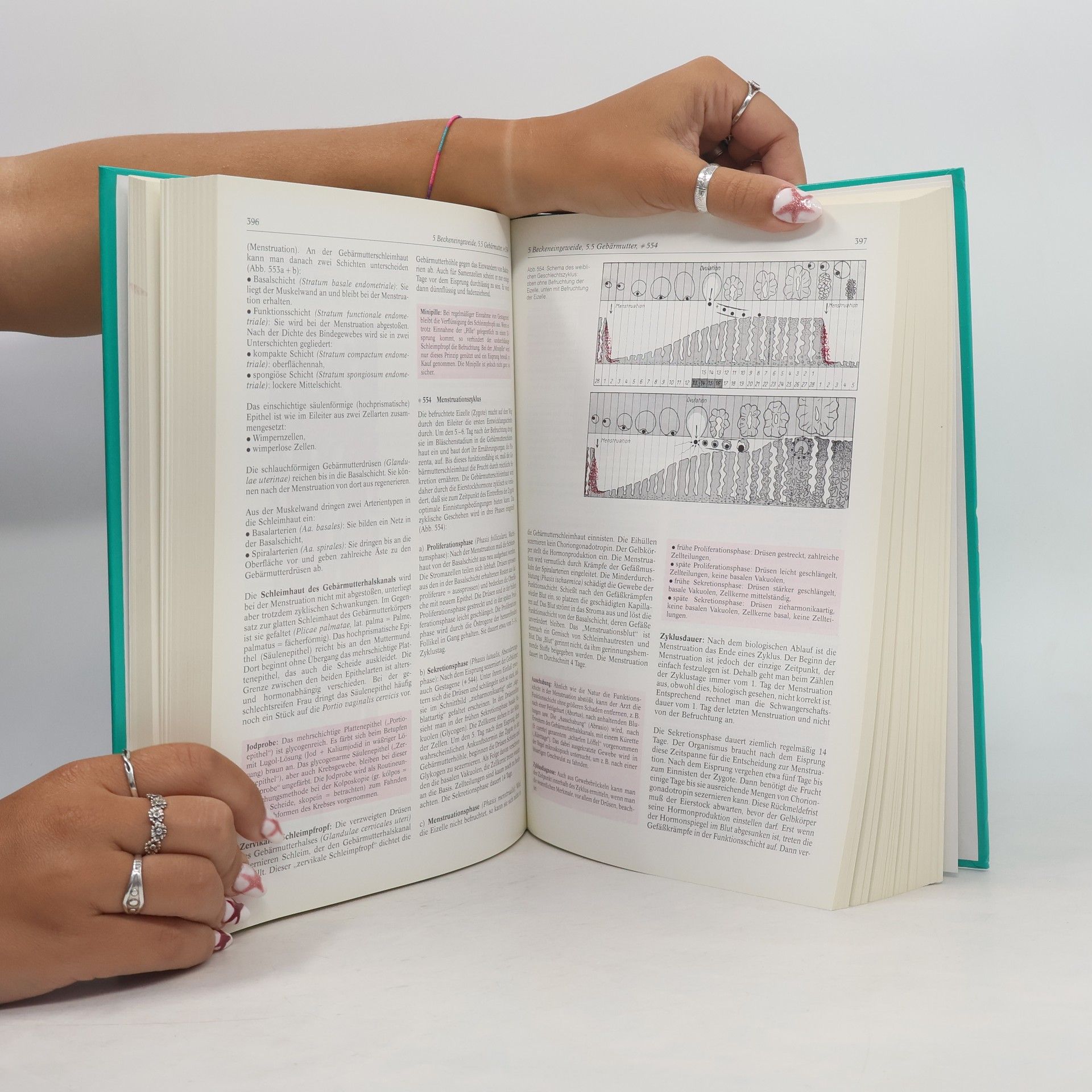 Herbert Lippert Lehrbuch Anatomie