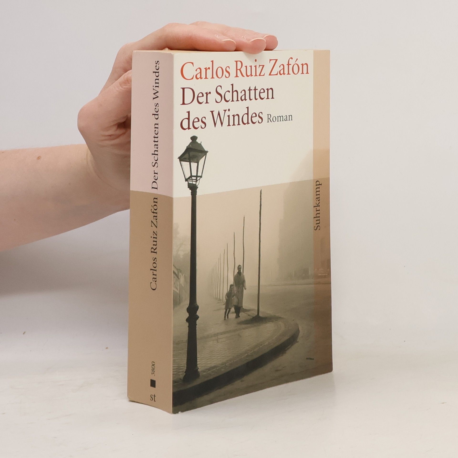 Carlos Ruiz Zafón Der Schatten des Windes