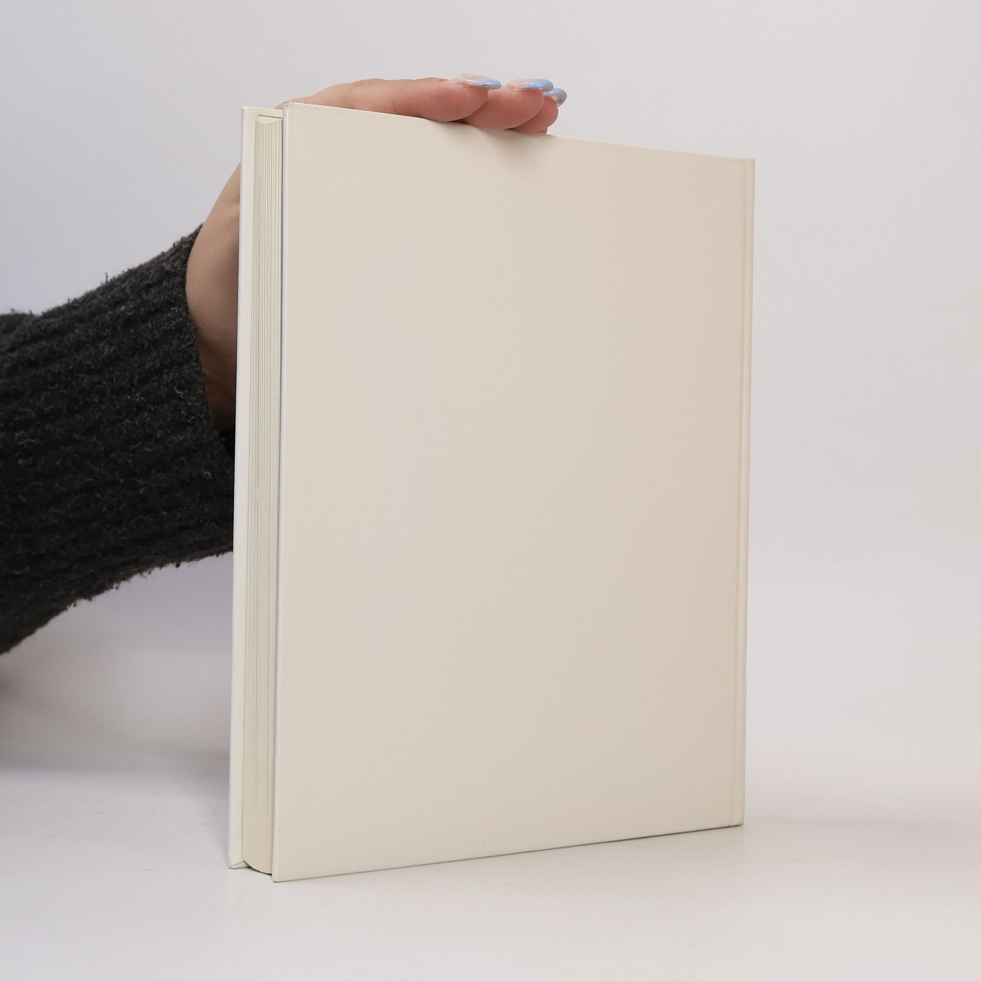 Various authors Basler Stadtbuch 1978
