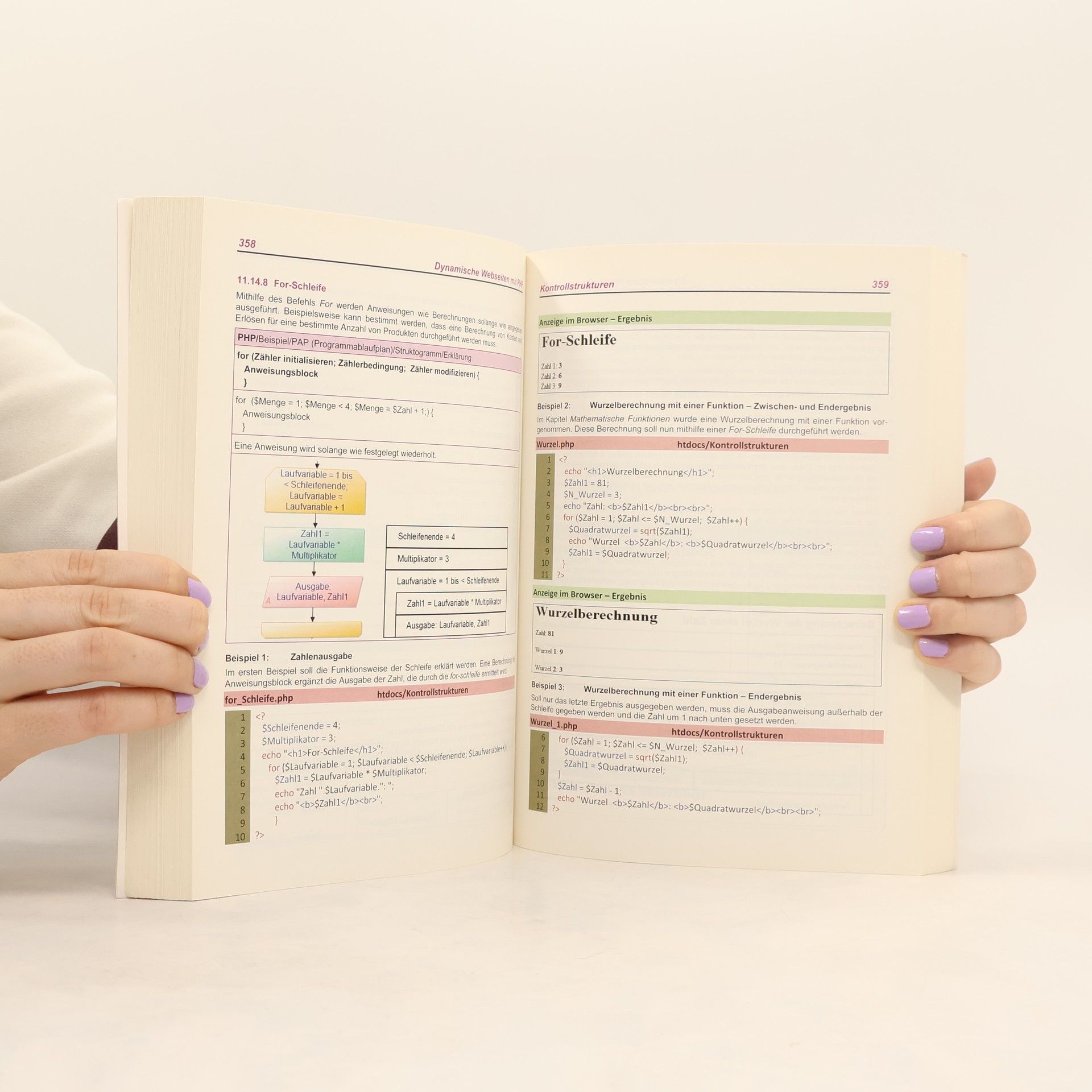 Werner Geers Berufliche Informatik