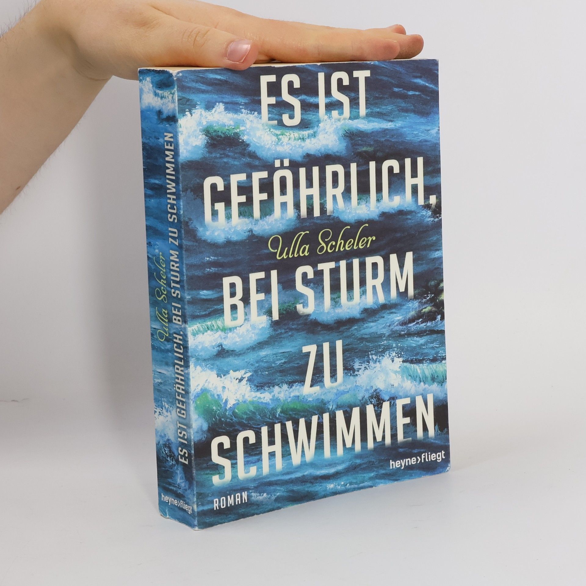 Ulla Scheler Es ist gefährlich, bei Sturm zu schwimmen