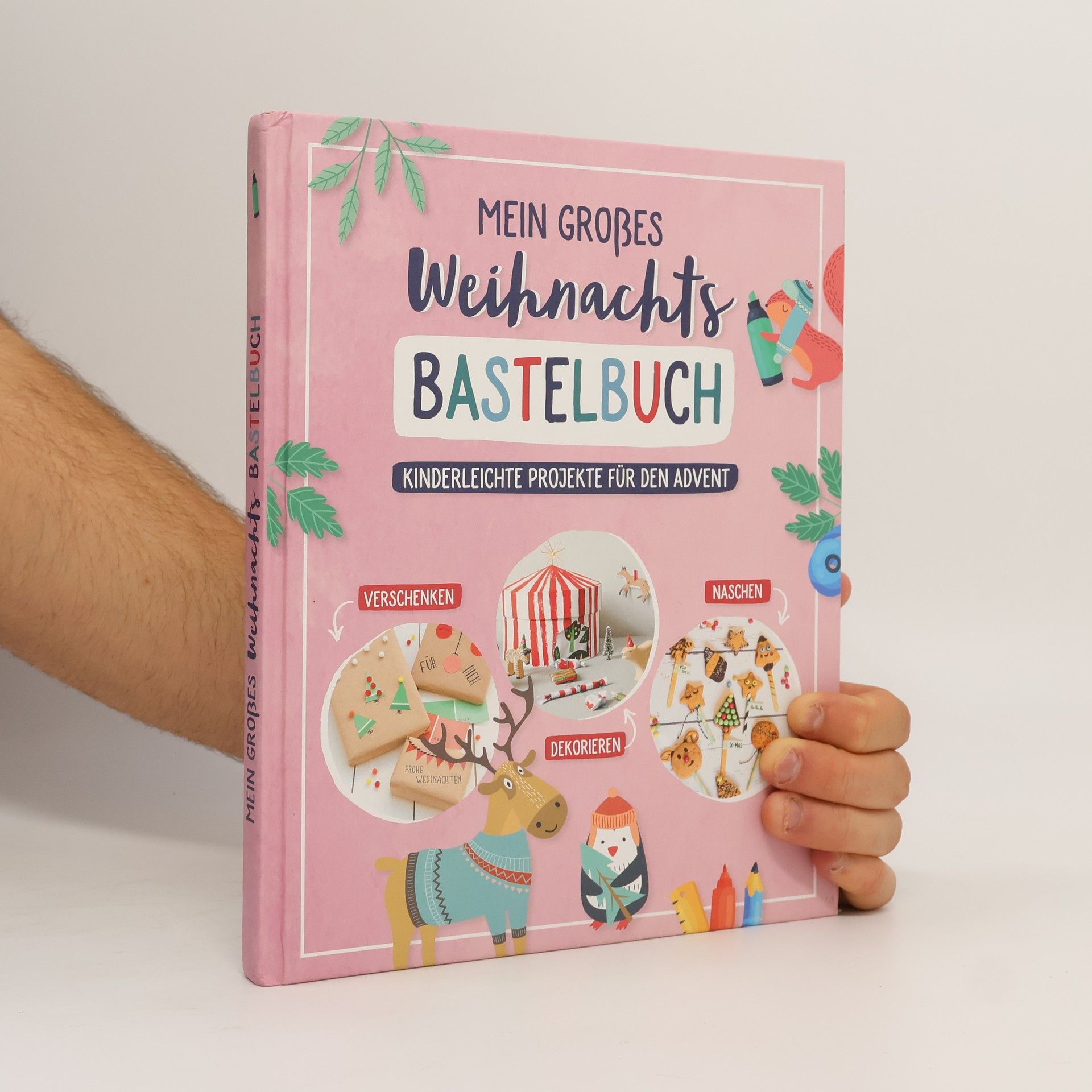 Autores varios Mein großes Weihnachts-Bastelbuch