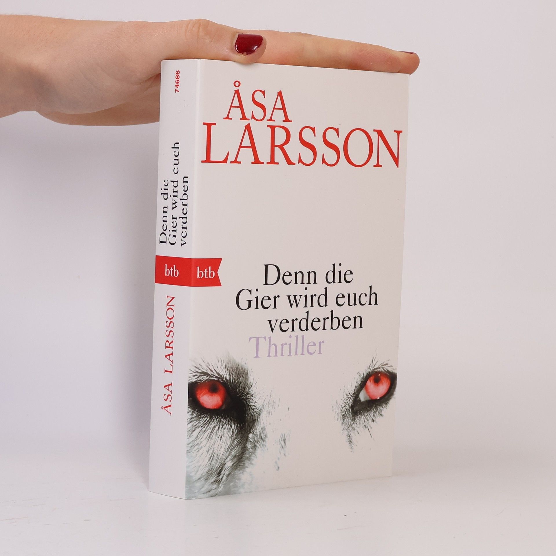 Åsa Larsson Denn die Gier wird euch verderben
