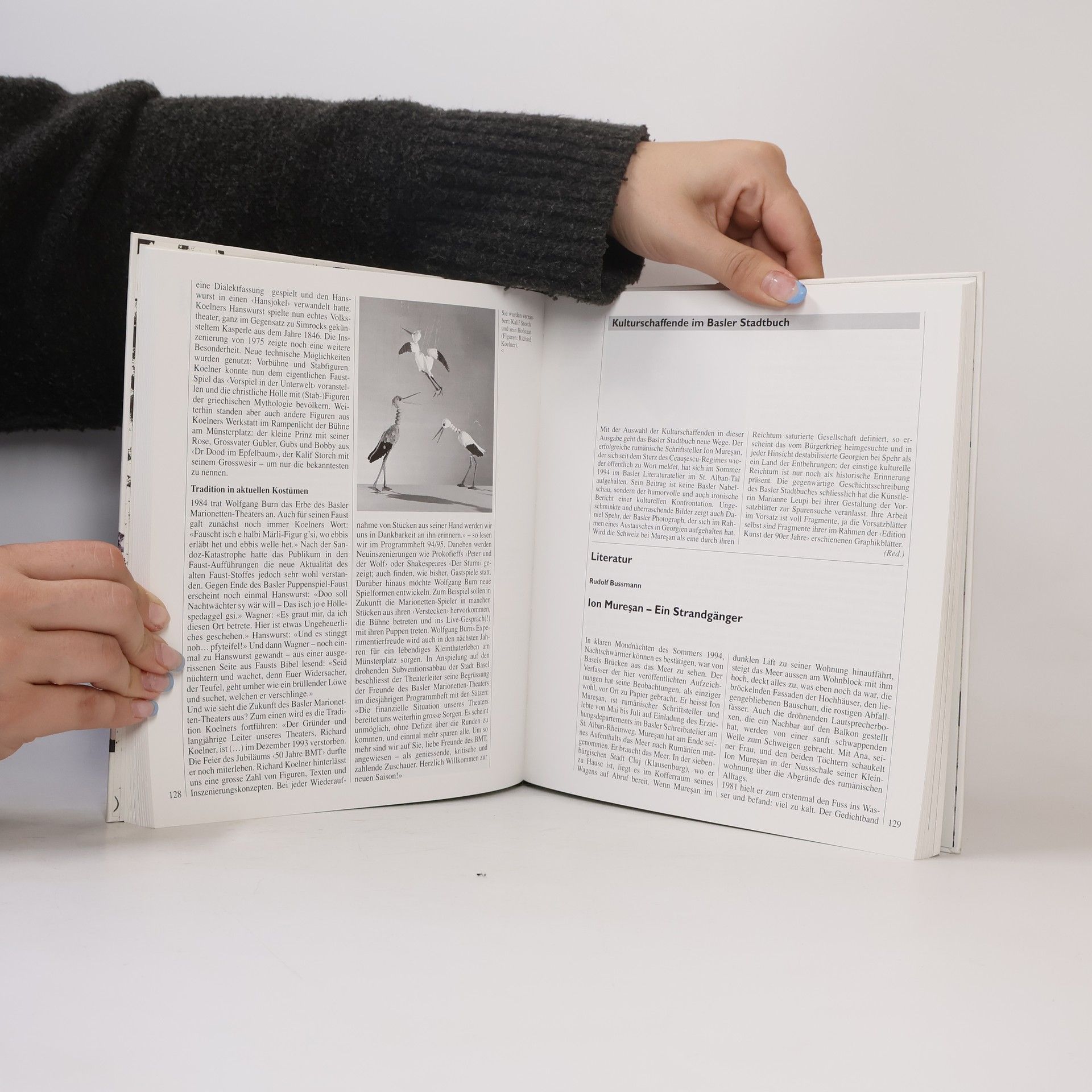 Collectif d'auteurs Basler Stadtbuch 1994