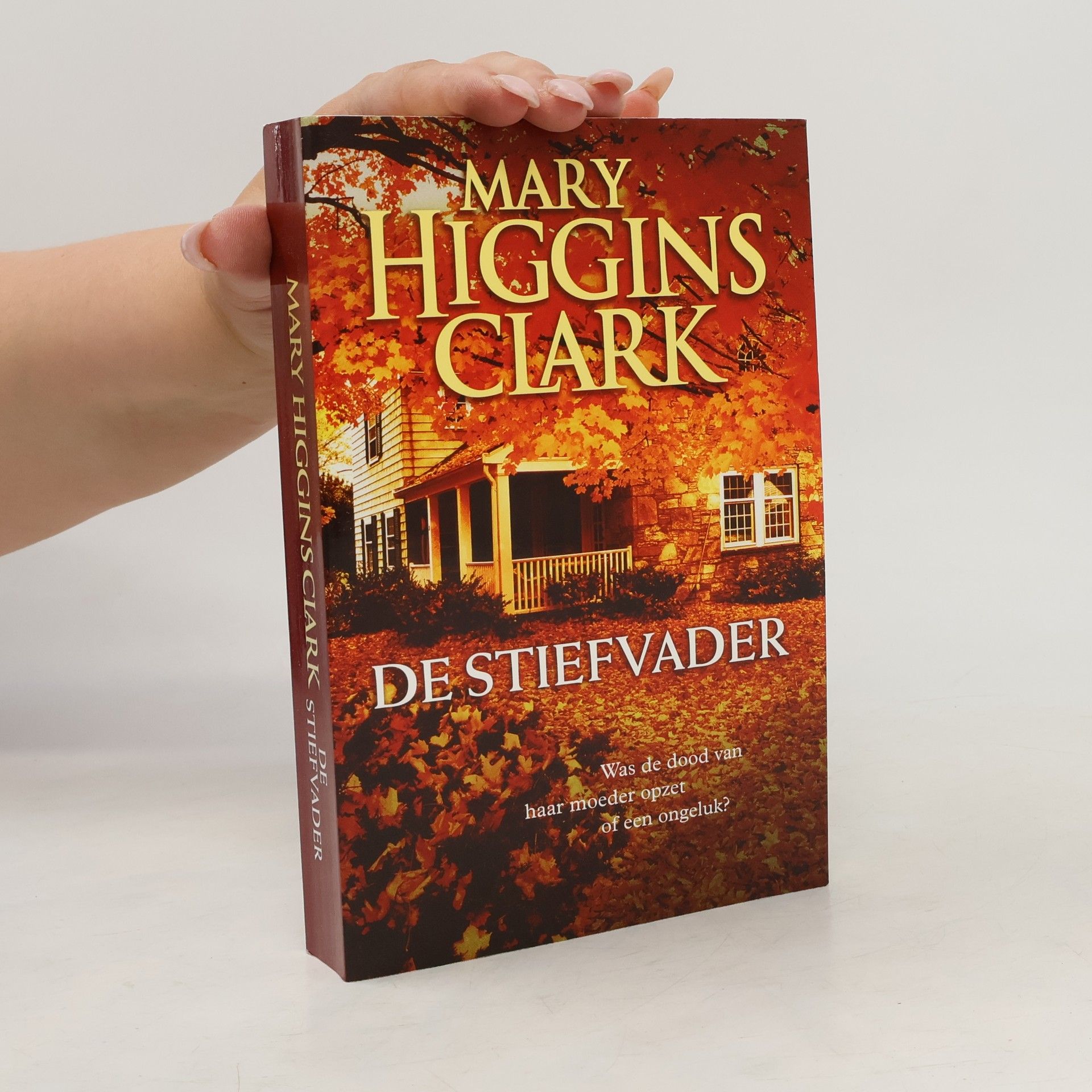 Mary Higgins Clark De stiefvader