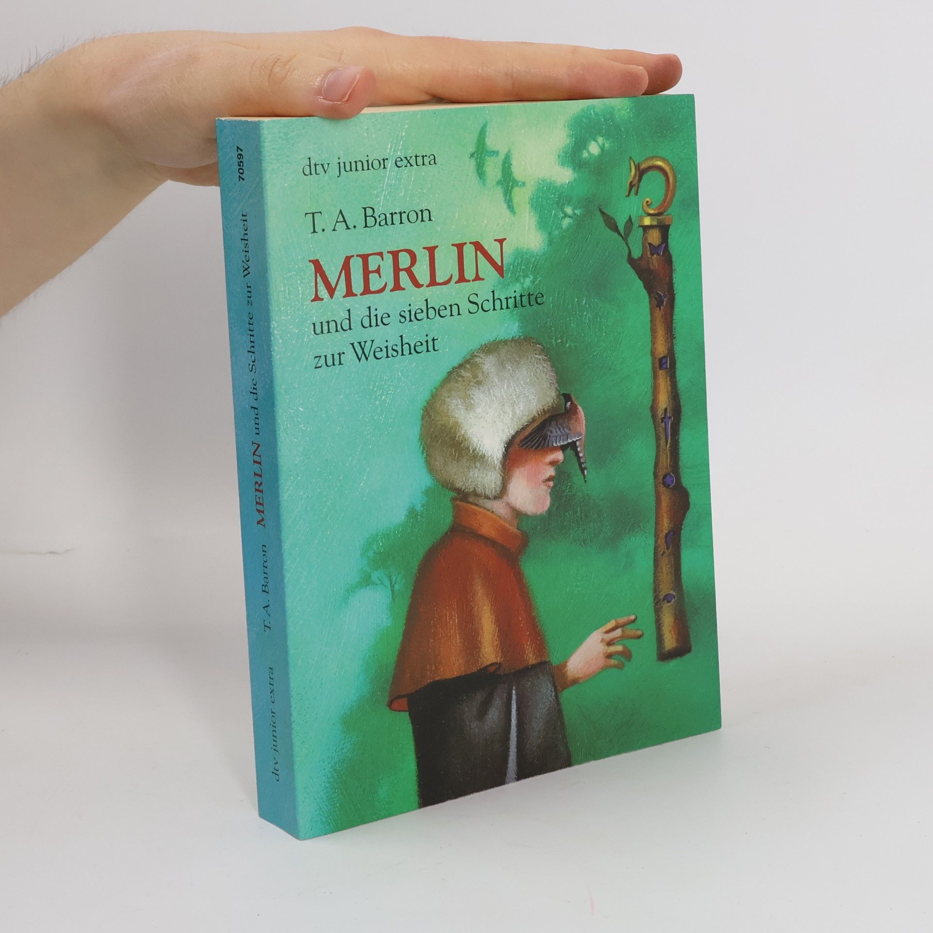 Merlin und die sieben Schritte zur Weisheit