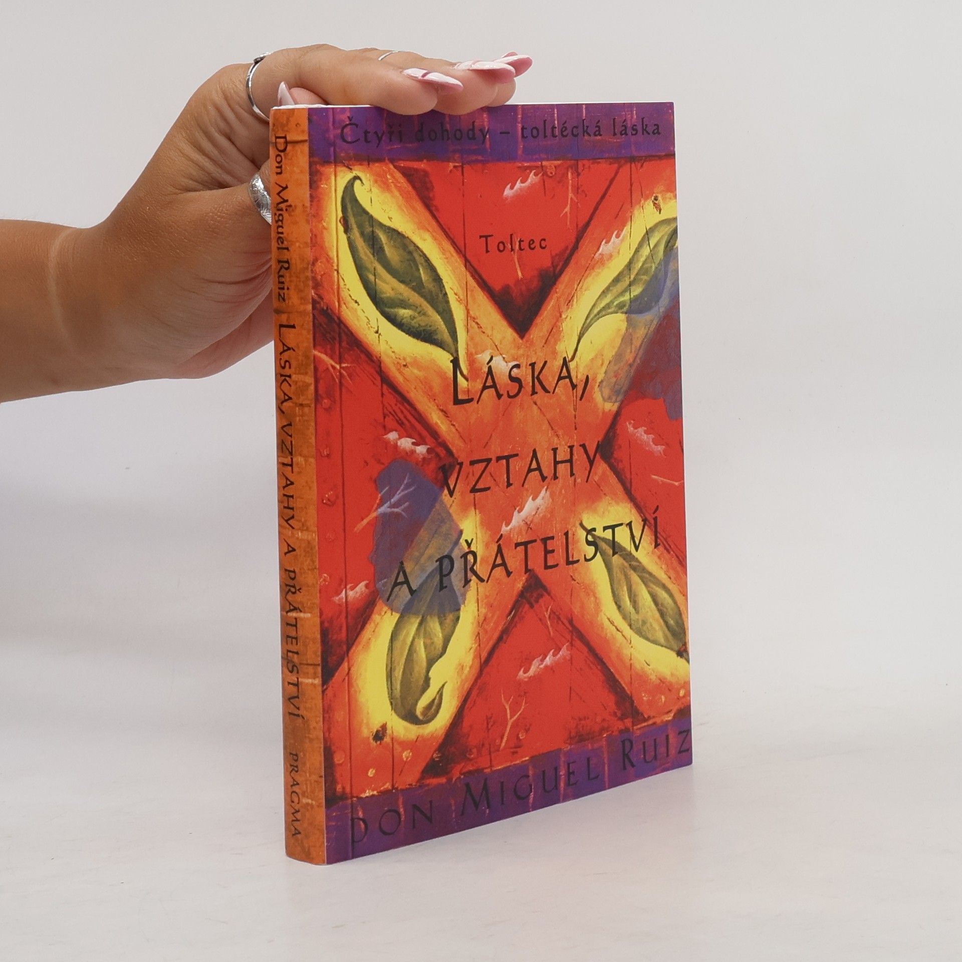Don Miguel Ruiz Láska, vztahy a přátelství