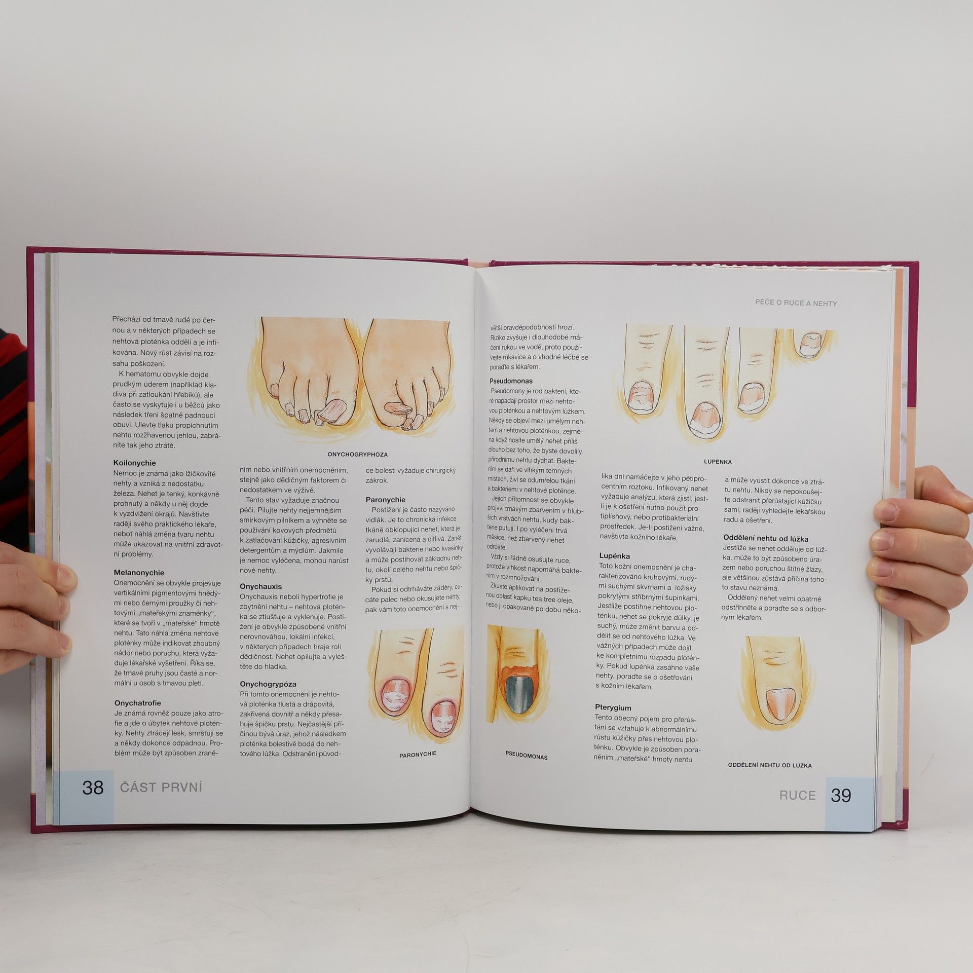 Leigh Toselli Kompletní průvodce manikúrou a pedikúrou