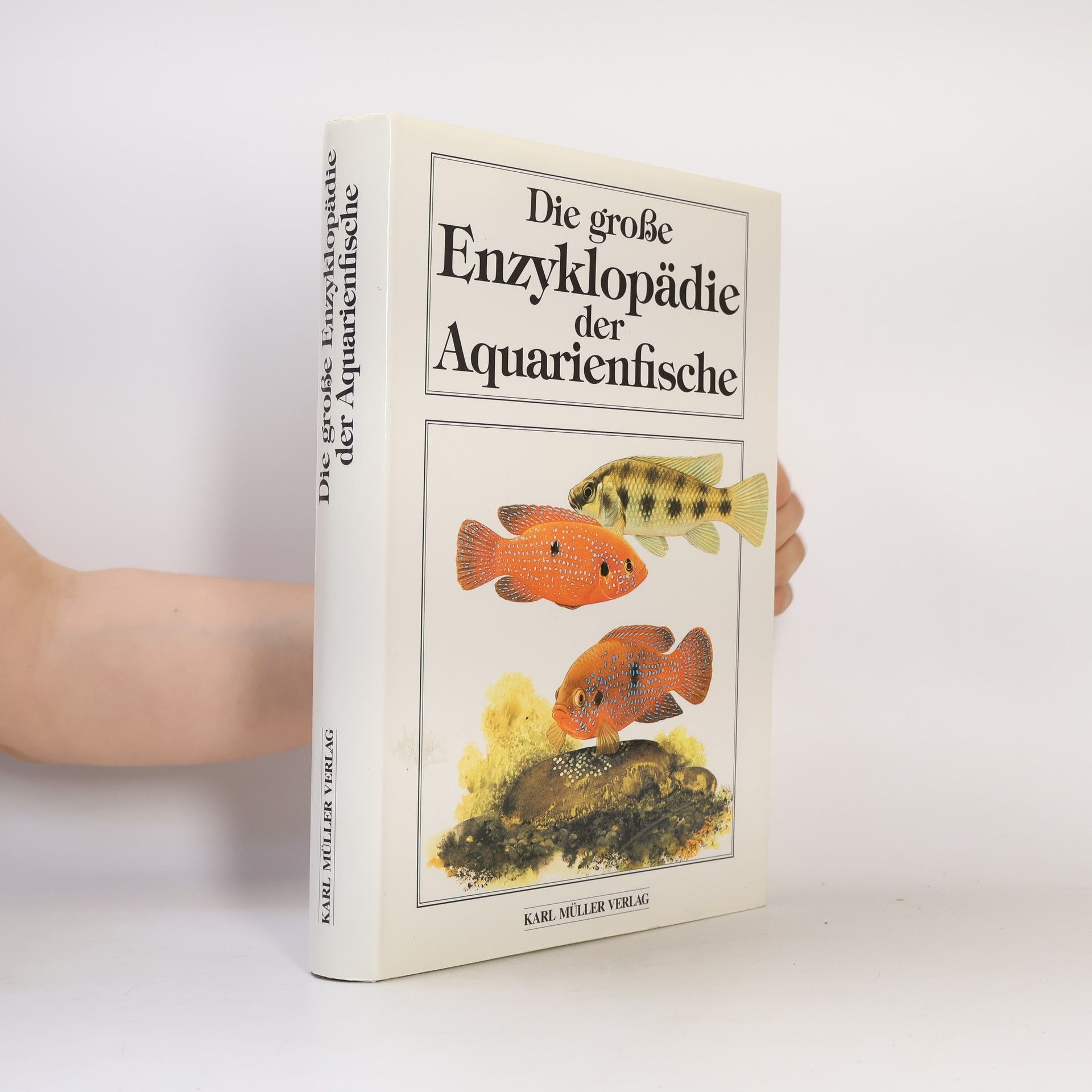 Autorenkollektiv Die große Enzyklopädie der Aquarienfische