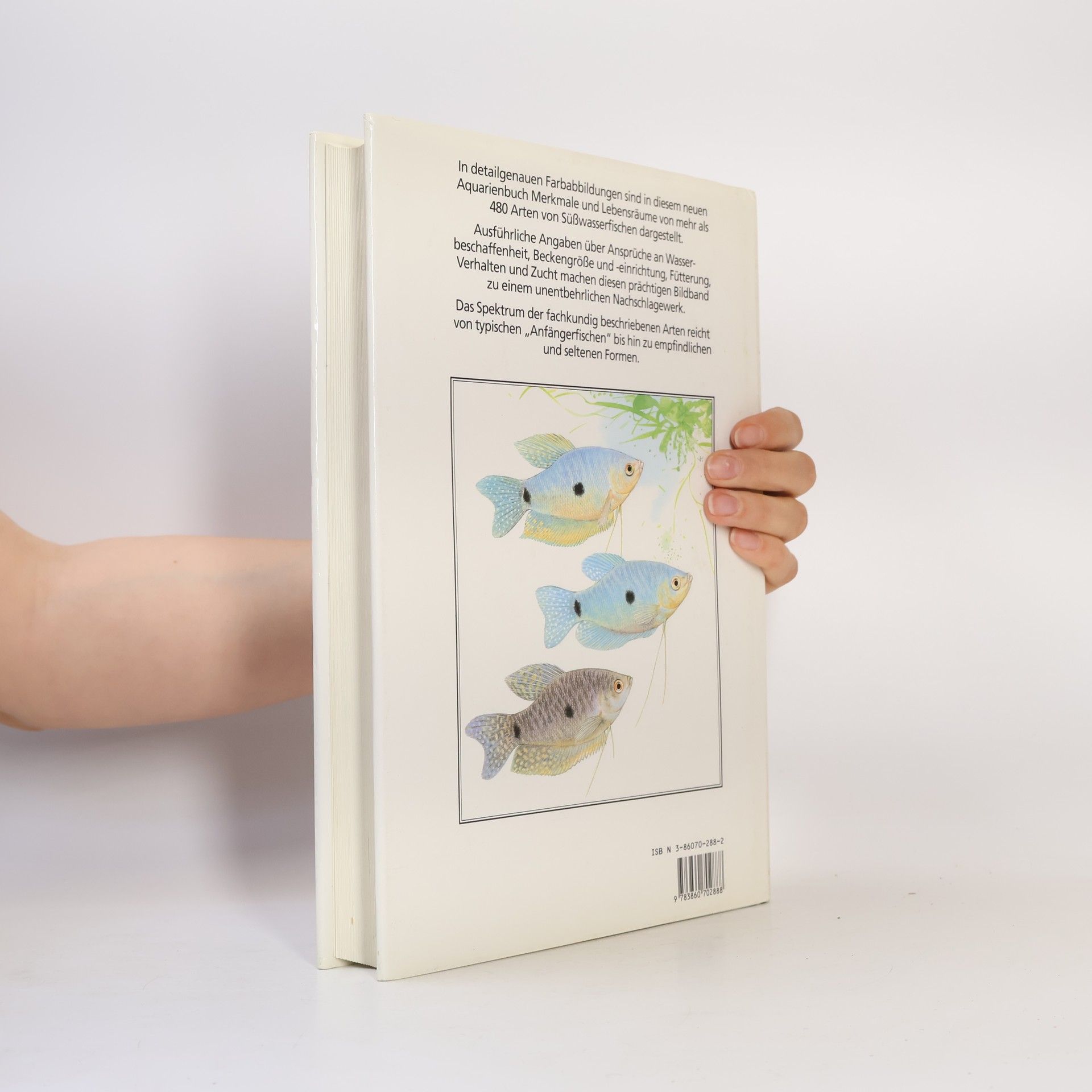 Autorenkollektiv Die große Enzyklopädie der Aquarienfische