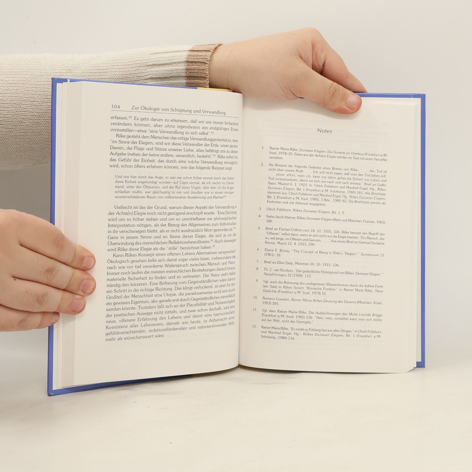 Hartmut Heepmann Unreading Rilke